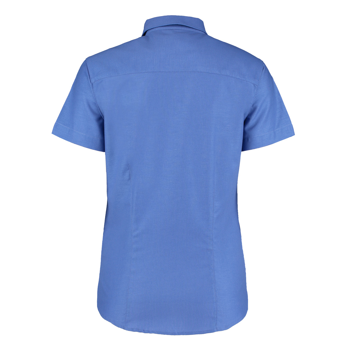 Kustom Kit Womens/Ladies Workwear Formal/Office Oxford Short