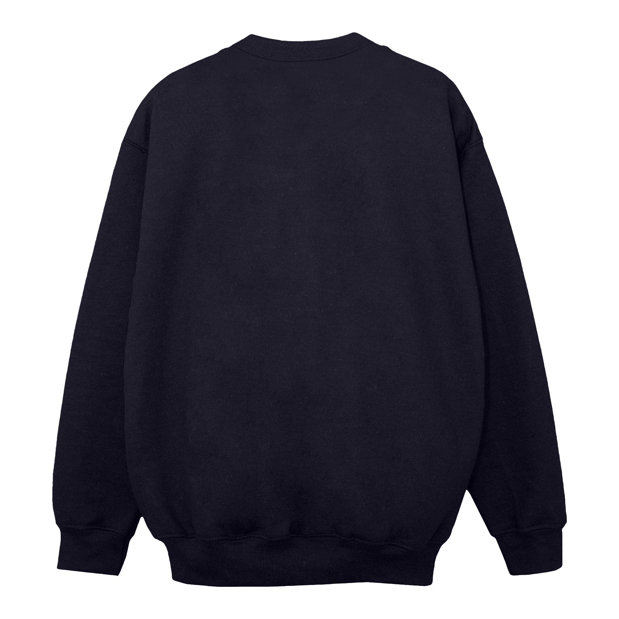Harry Potter Girls Hogwarts Houses Cotton Sweatshirt (BI1056) - Picture 8 of 18