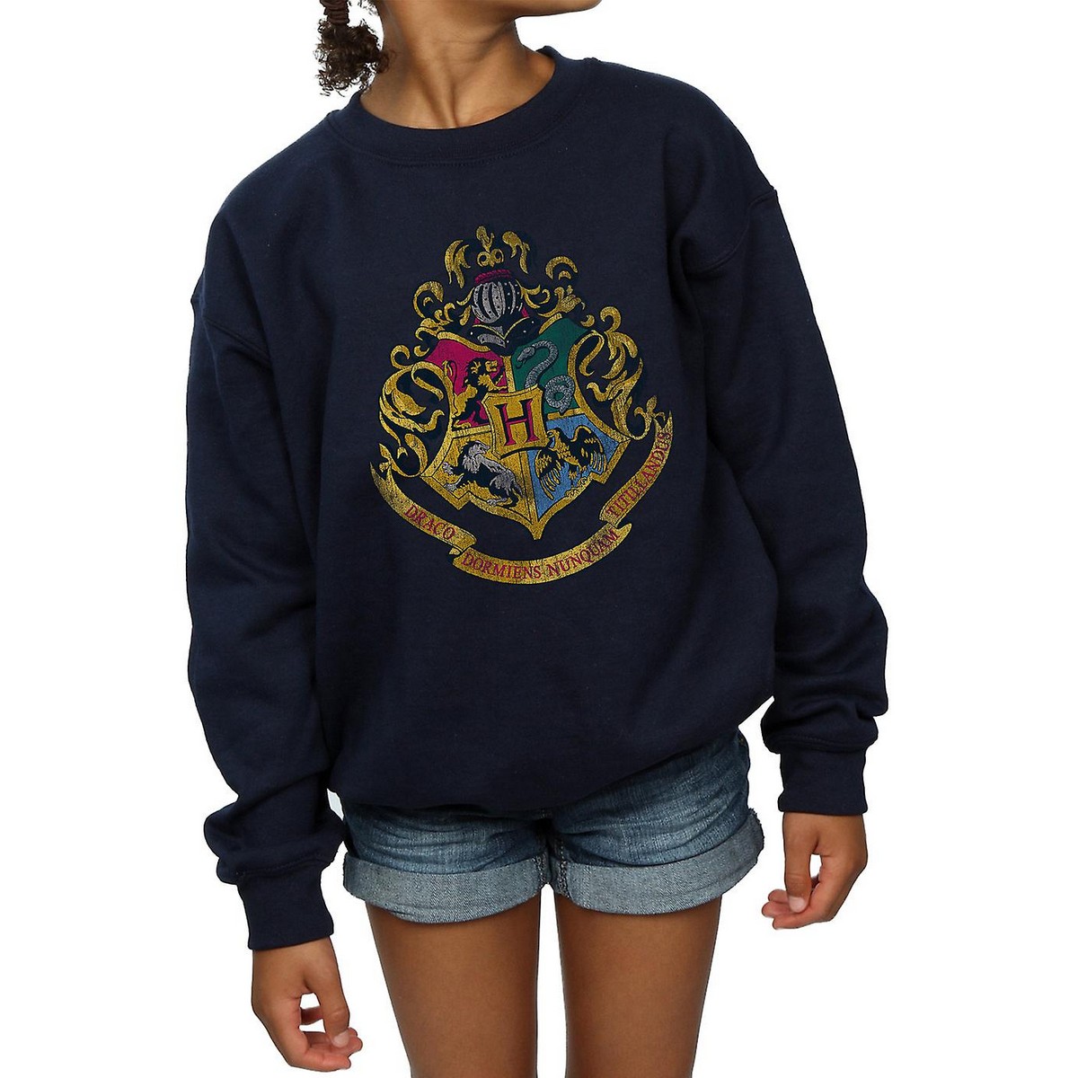 Harry Potter Girls Hogwarts Houses Cotton Sweatshirt (BI1056) - Picture 9 of 18