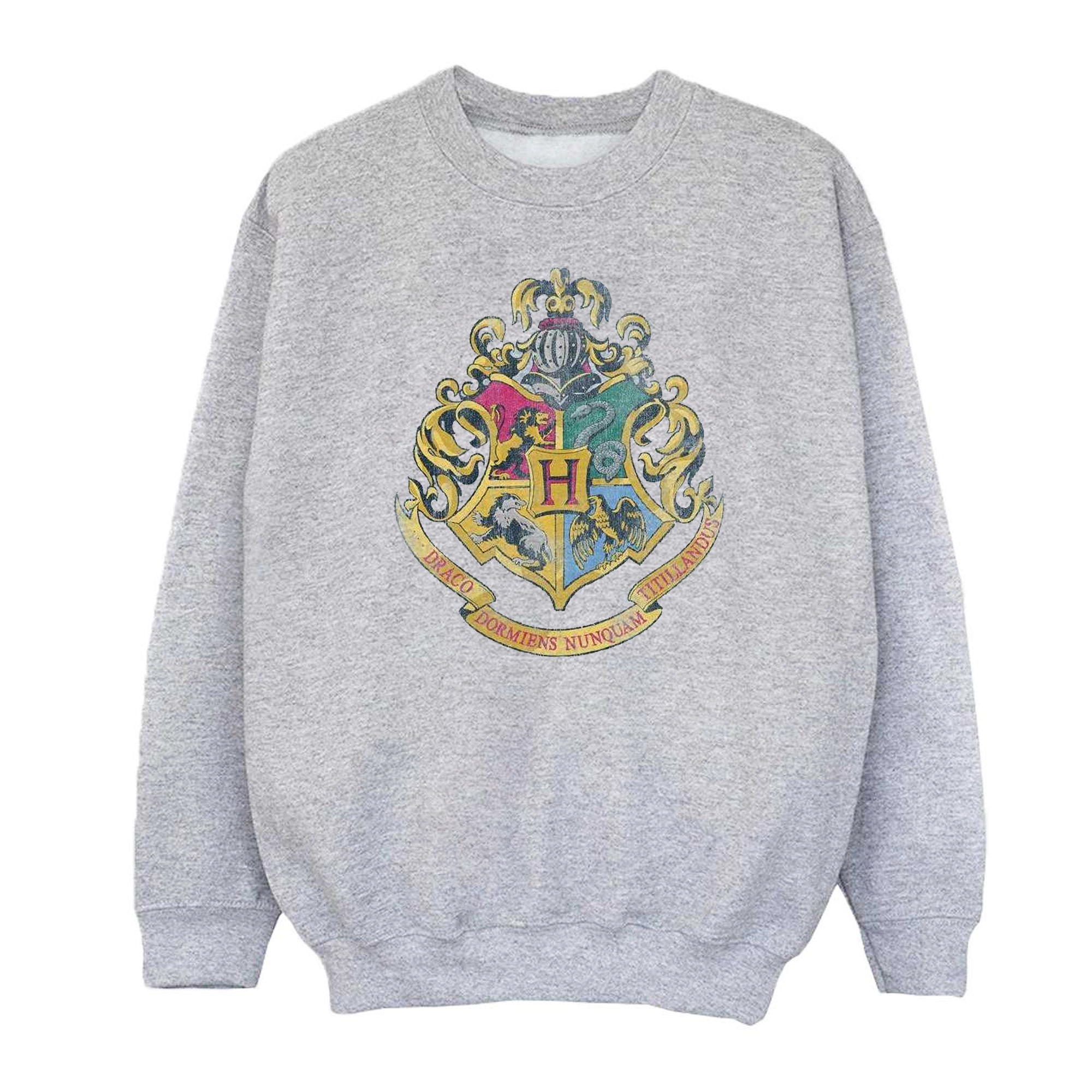 Harry Potter Girls Hogwarts Houses Cotton Sweatshirt (BI1056) - Picture 13 of 18