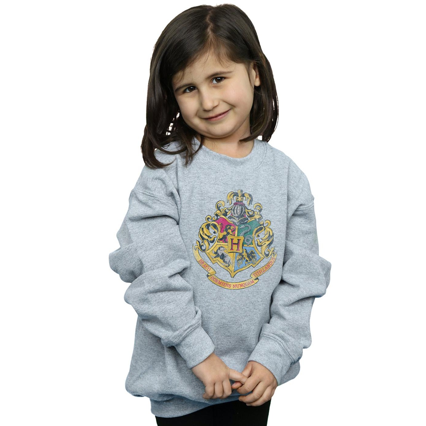 Harry Potter Girls Hogwarts Houses Cotton Sweatshirt (BI1056) - Picture 15 of 18