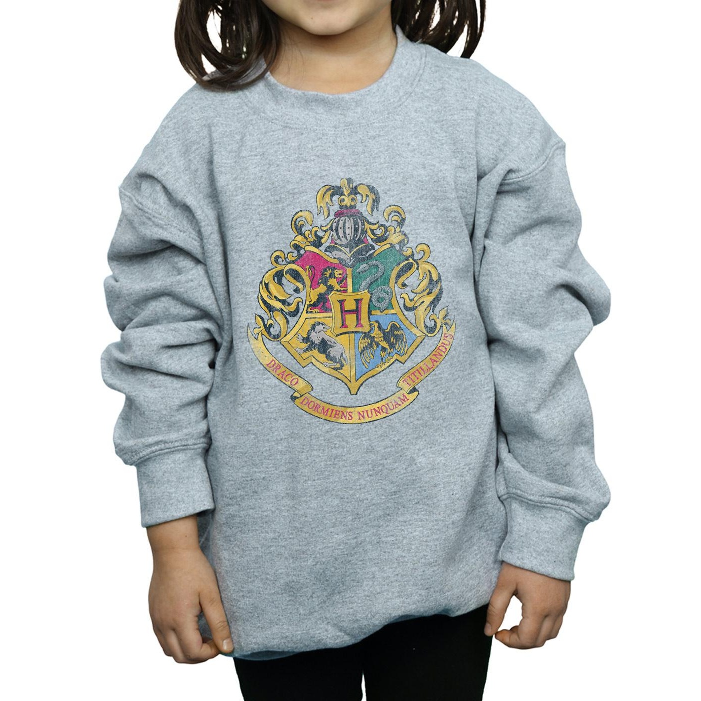 Harry Potter Girls Hogwarts Houses Cotton Sweatshirt (BI1056) - Picture 16 of 18