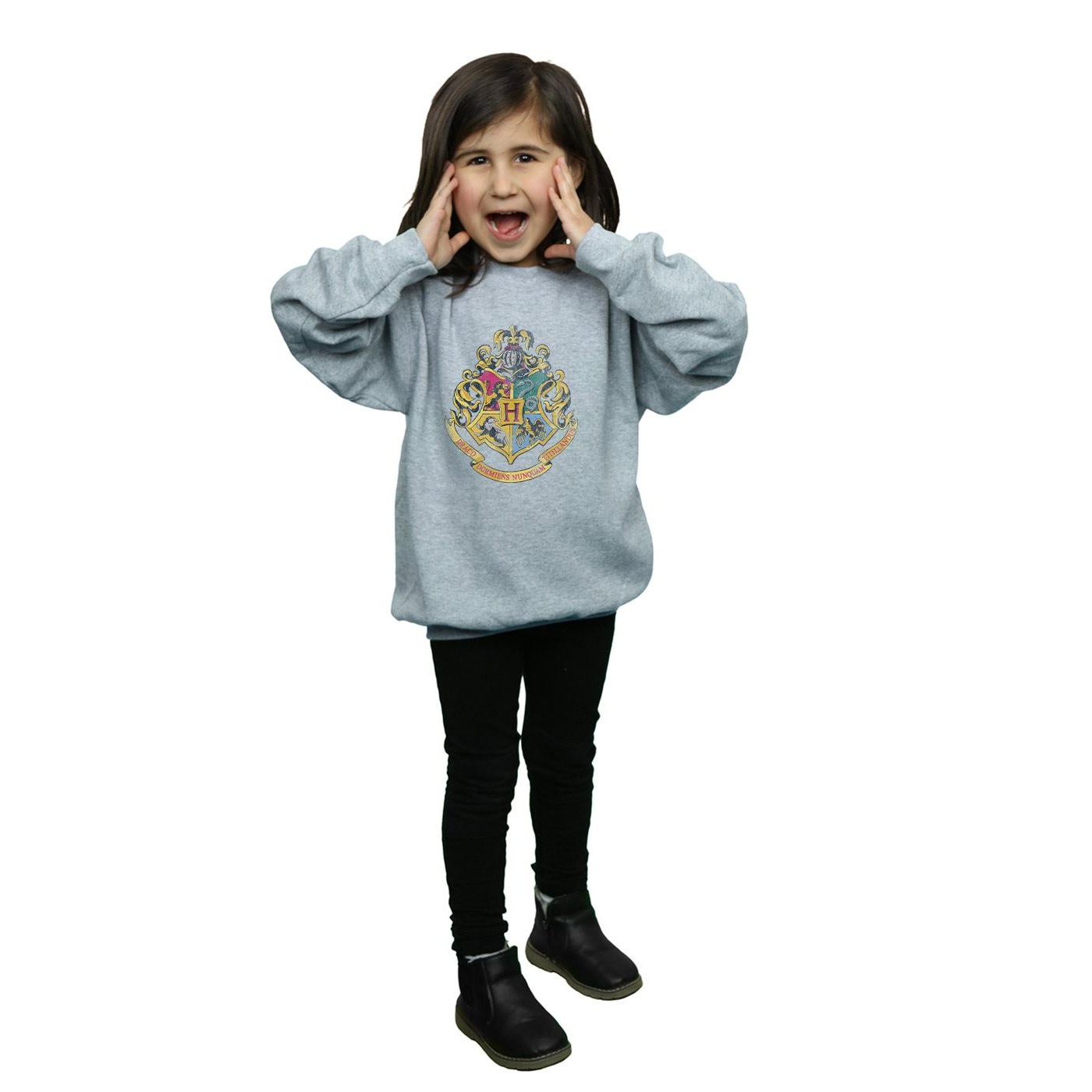 Harry Potter Girls Hogwarts Houses Cotton Sweatshirt (BI1056) - Picture 17 of 18