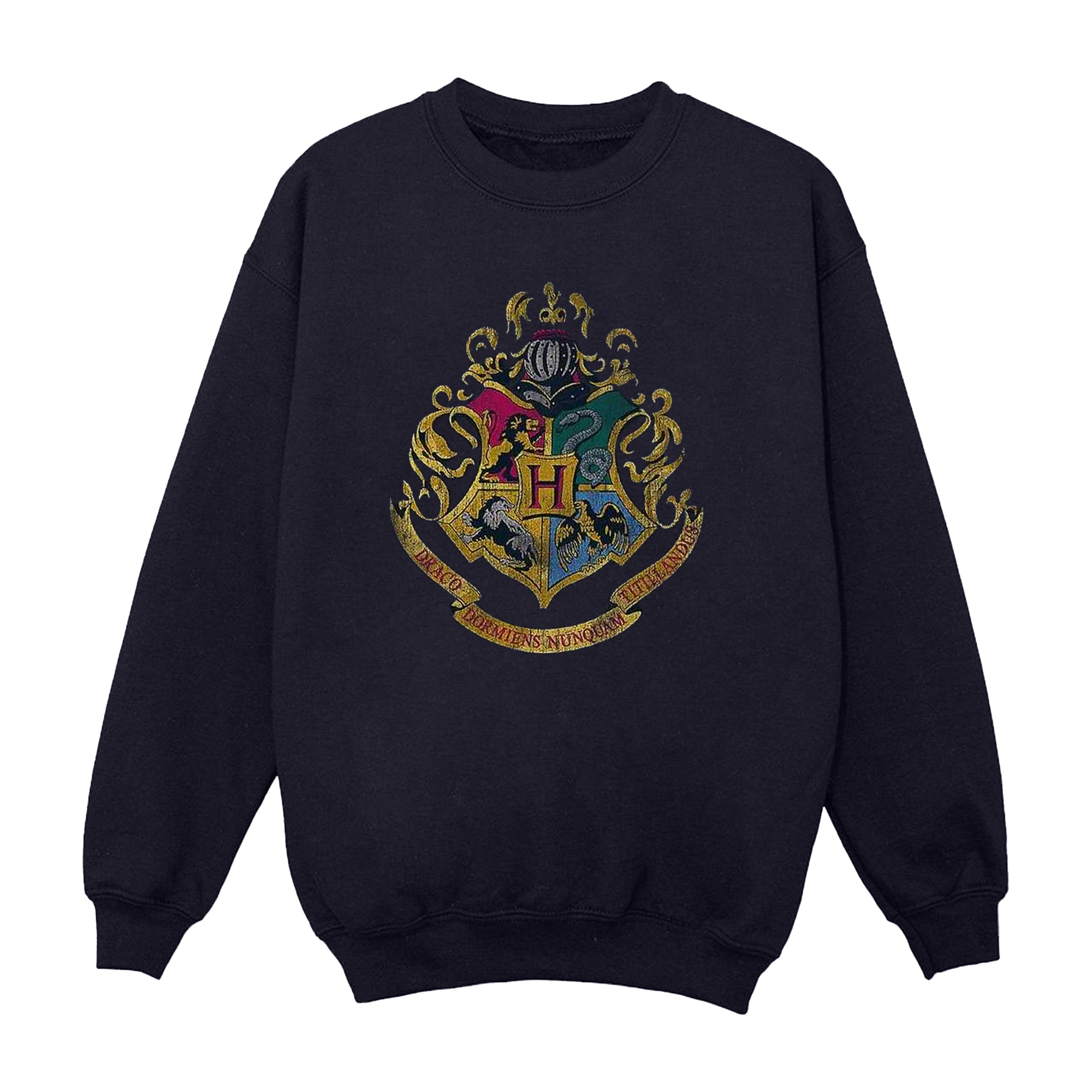 Harry Potter Girls Hogwarts Houses Cotton Sweatshirt (BI1056) - Picture 7 of 18