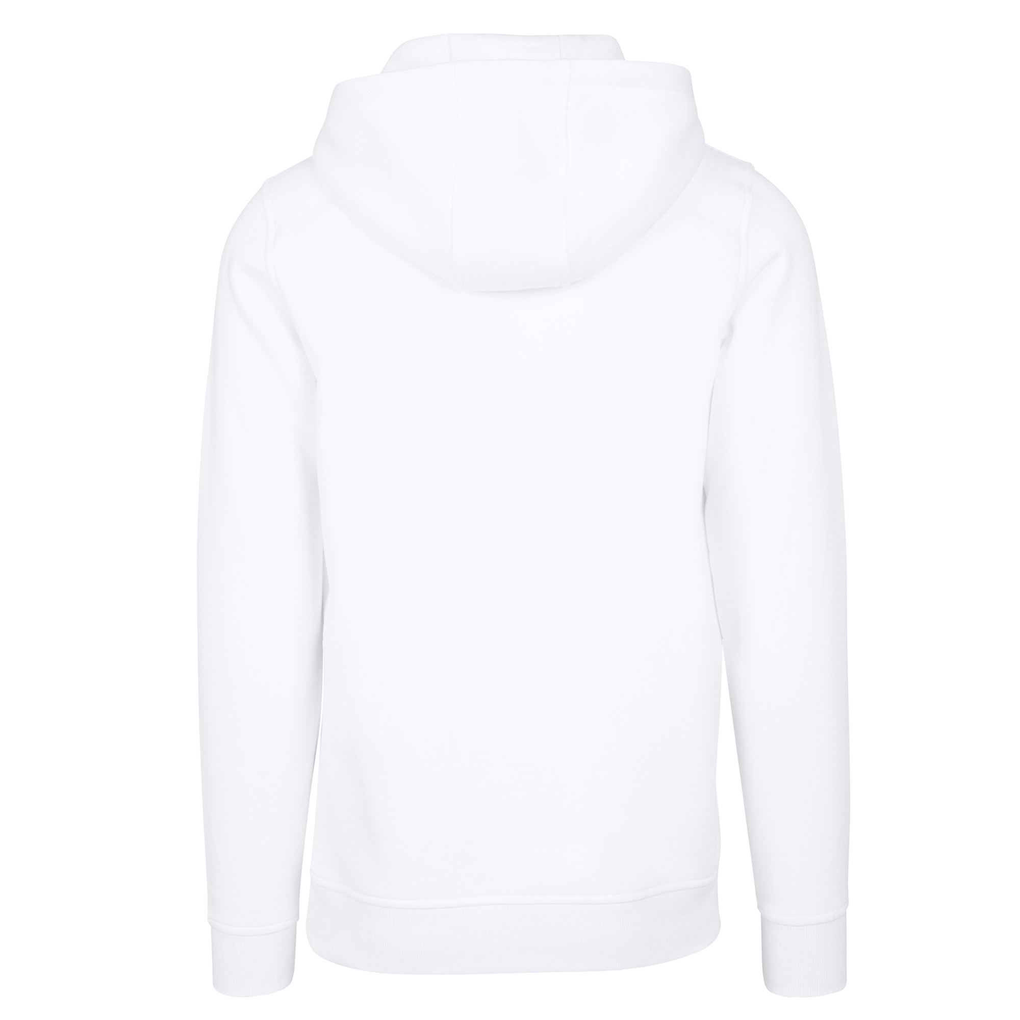 NASA Boys Classic Insignia Logo Distressed Hoodie (BI13505) - Picture 14 of 18