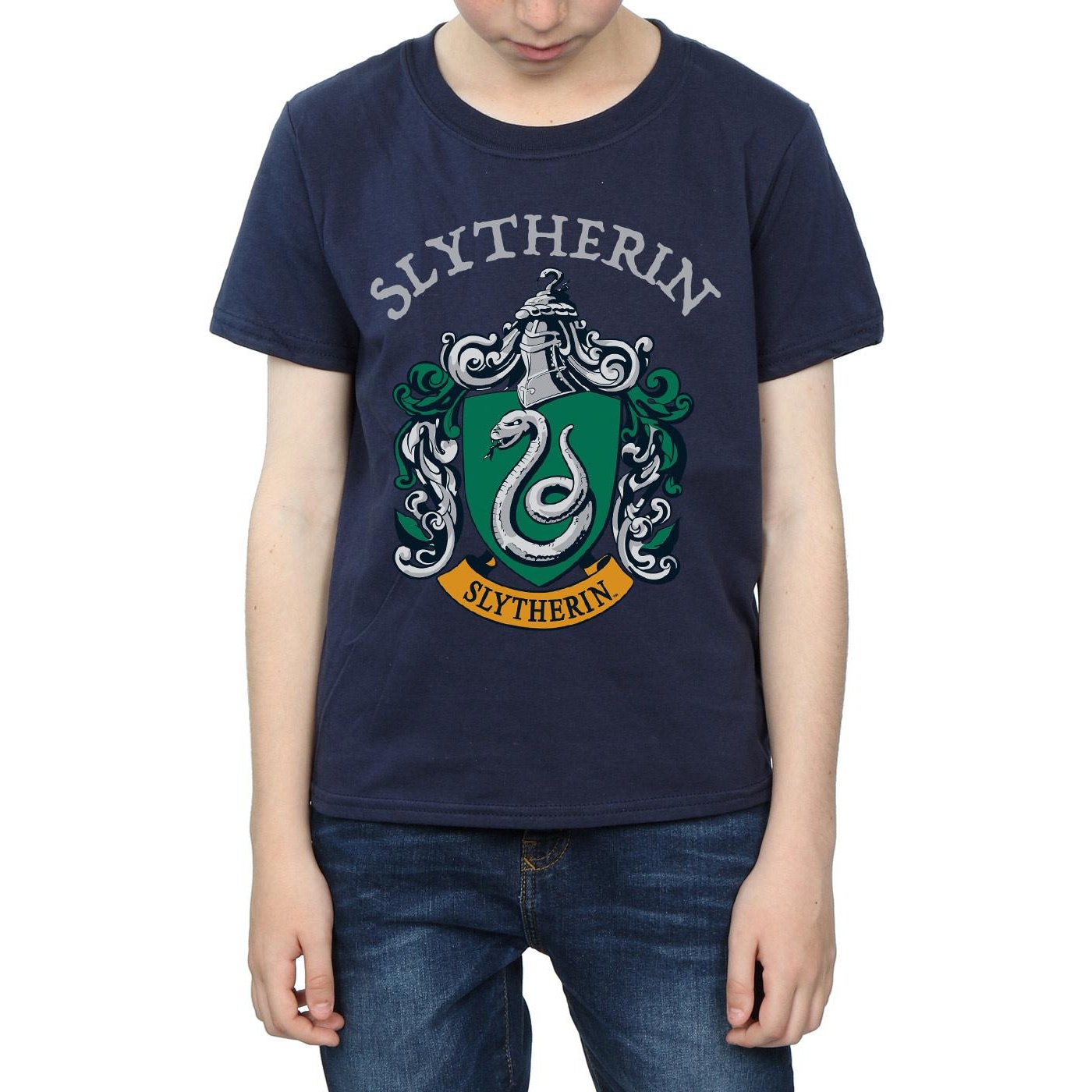 Harry Potter Boys Slytherin Crest T-Shirt (BI20223) - Picture 8 of 20