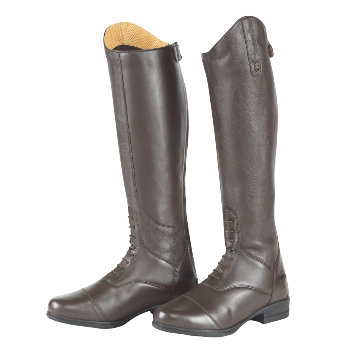 Moretta Womens/Ladies Gianna Leather Long Riding Boots ER466 - Picture 6 of 6