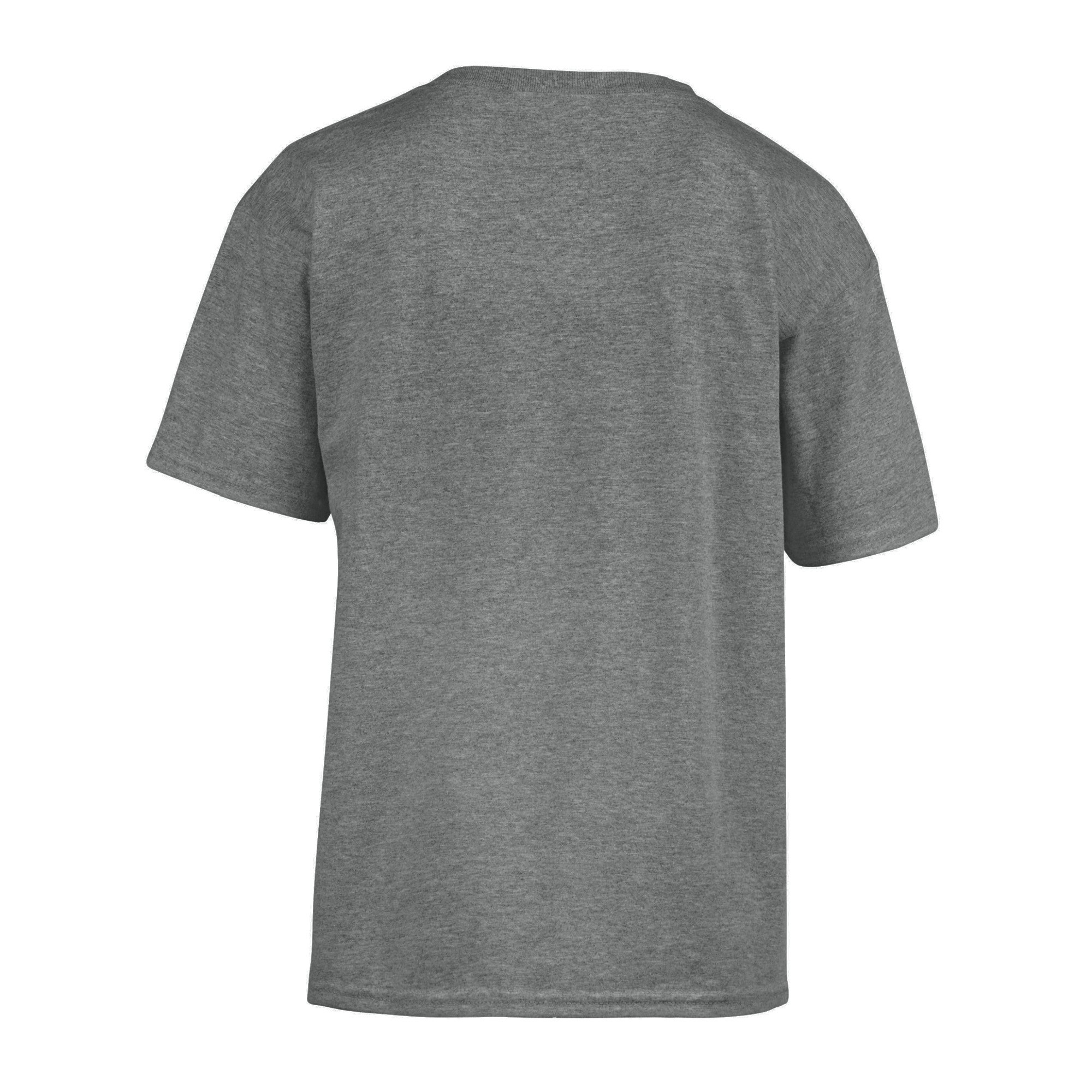 Gildan Childens/Kids SoftStyle Ringspun T-Shirt (PC3387) - Picture 11 of 45