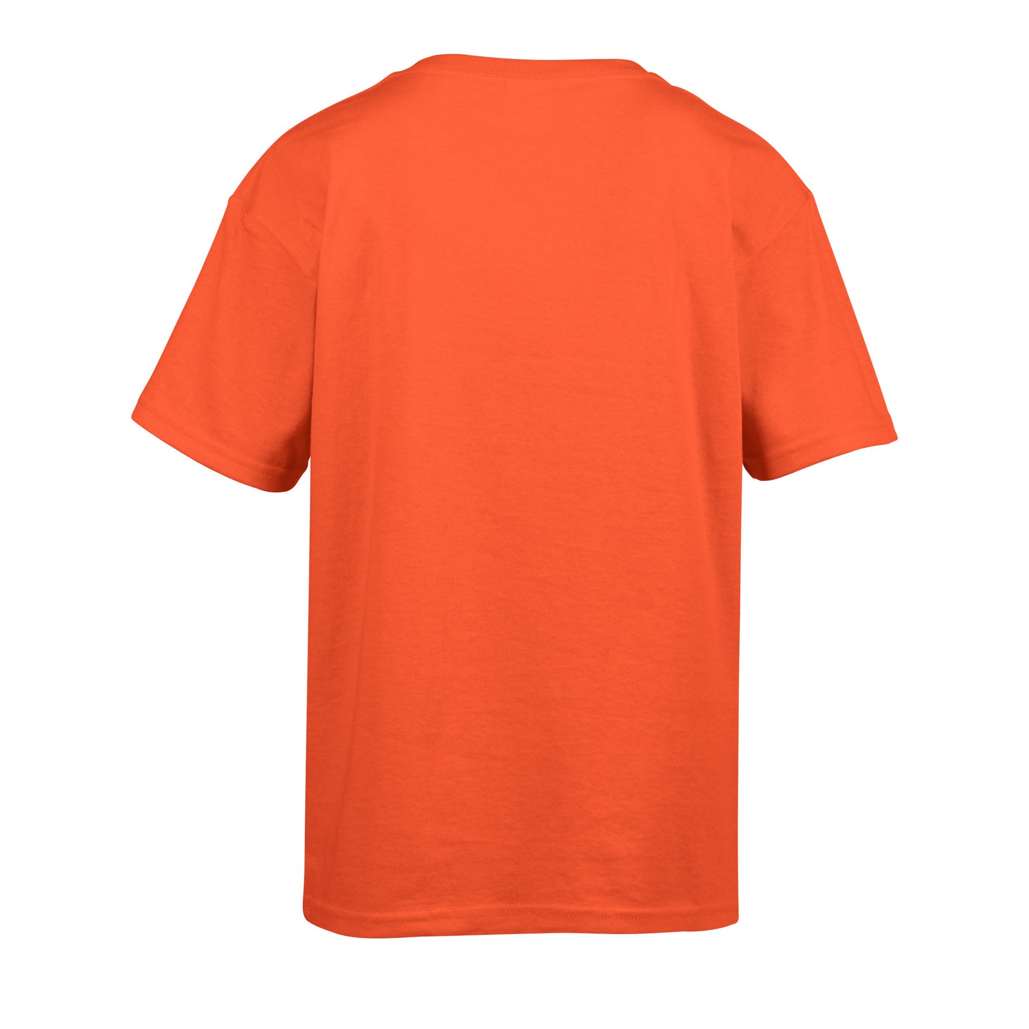 Gildan Childens/Kids SoftStyle Ringspun T-Shirt (PC3387) - Picture 32 of 45