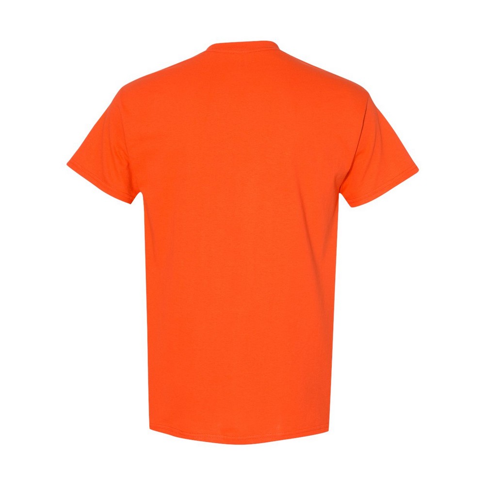 Afbeelding 100 van 146