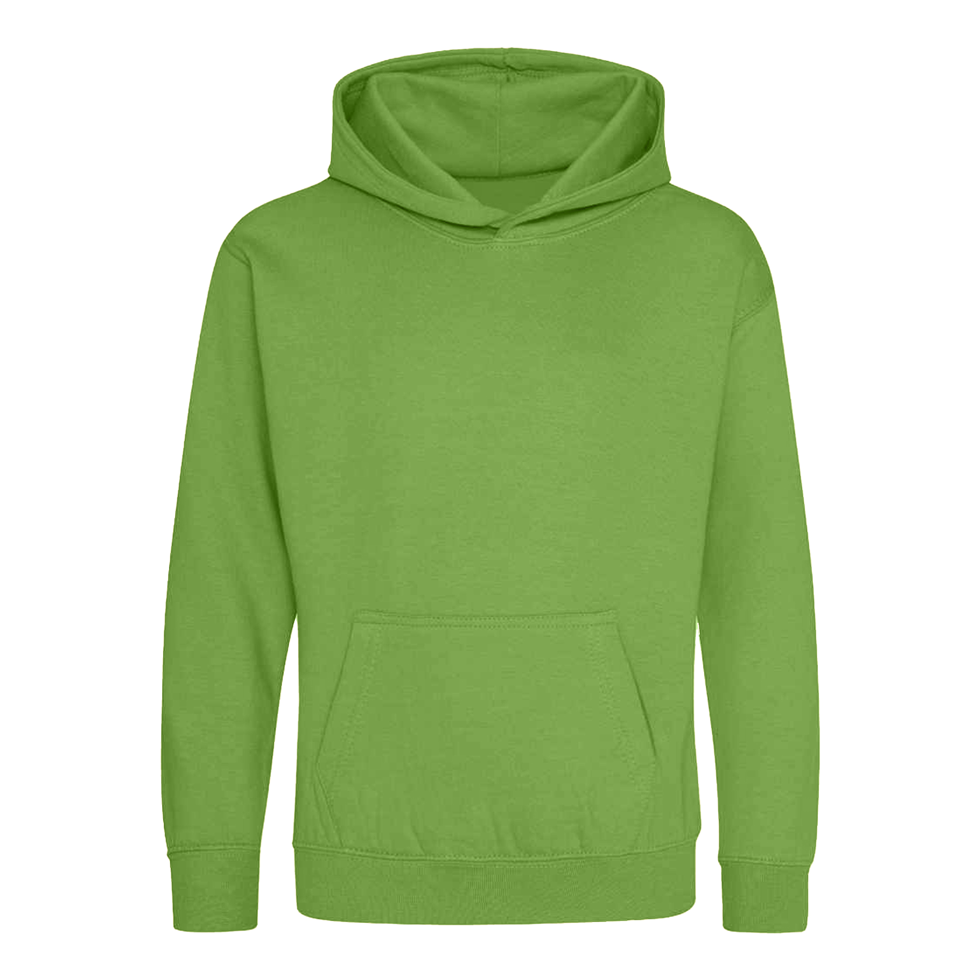 Awdis Childrens/Kids Hoodie (PC5102) - Picture 35 of 76