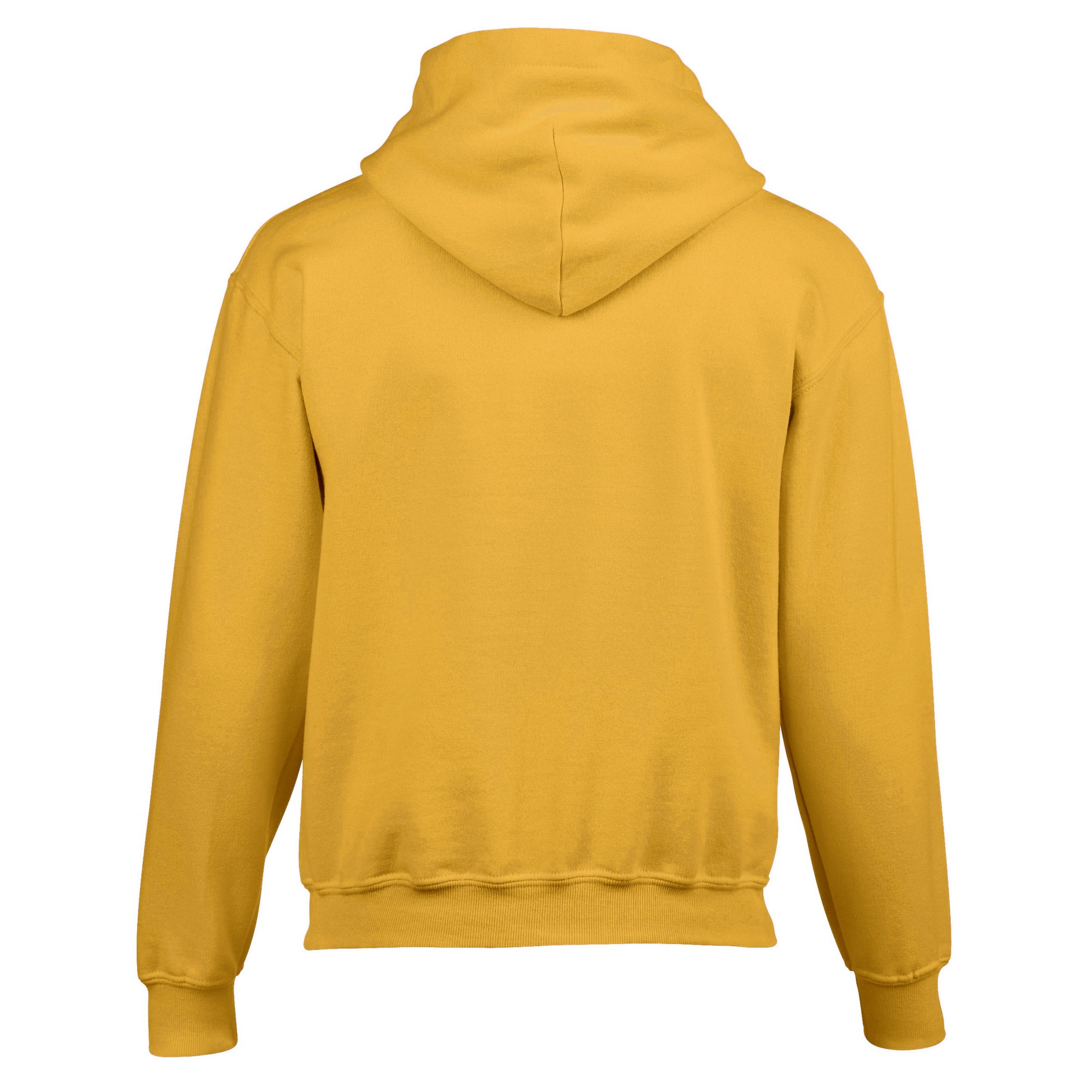 Gildan Childrens/Kids Heavy Blend Hooded Sweatshirt (PC6242) - Picture 17 of 51