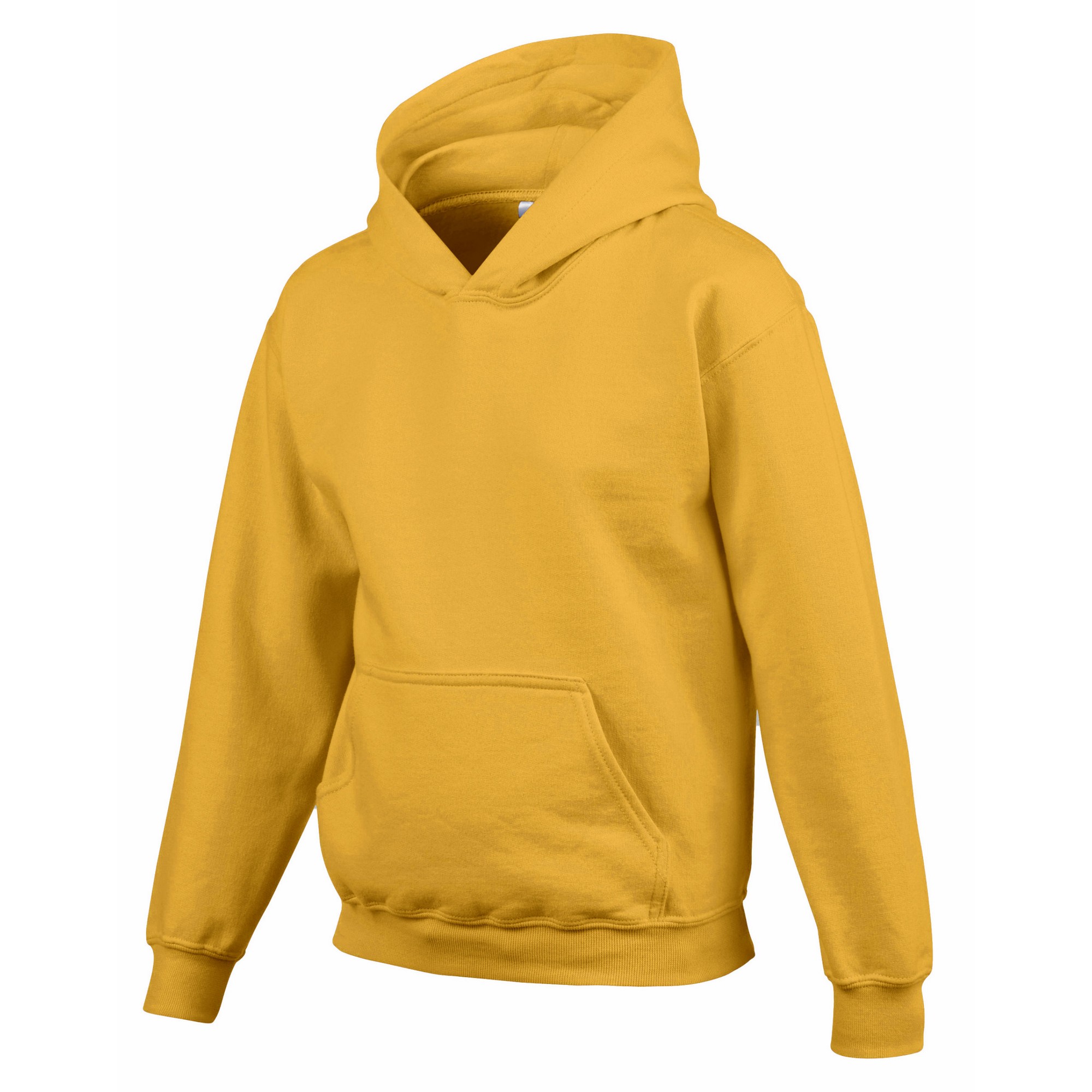 Gildan Childrens/Kids Heavy Blend Hooded Sweatshirt (PC6242) - Picture 18 of 51