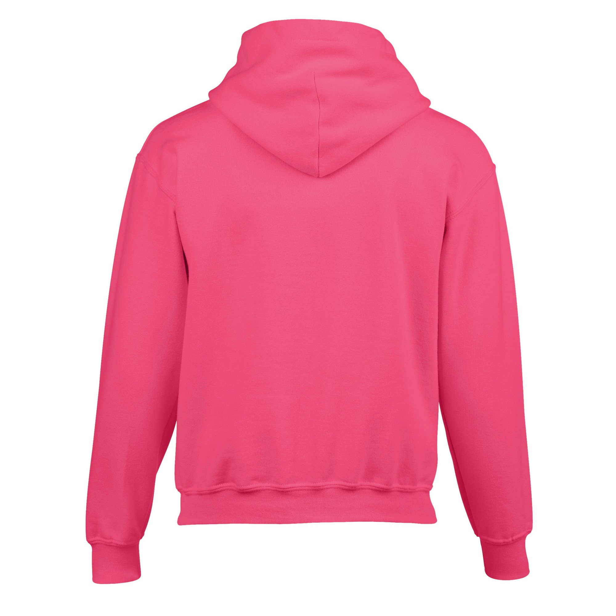 Gildan Childrens/Kids Heavy Blend Hooded Sweatshirt (PC6242) - Picture 23 of 51