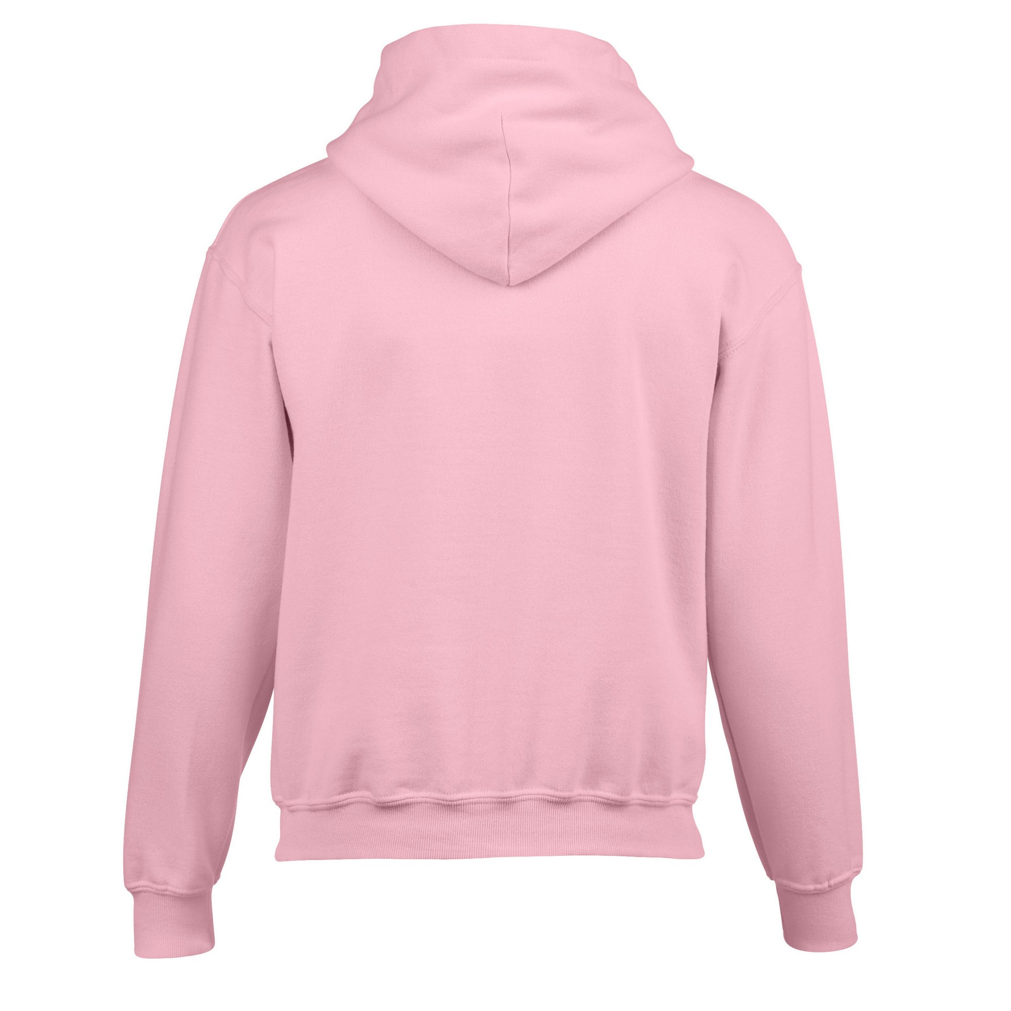 Gildan Childrens/Kids Heavy Blend Hooded Sweatshirt (PC6242) - Picture 29 of 51