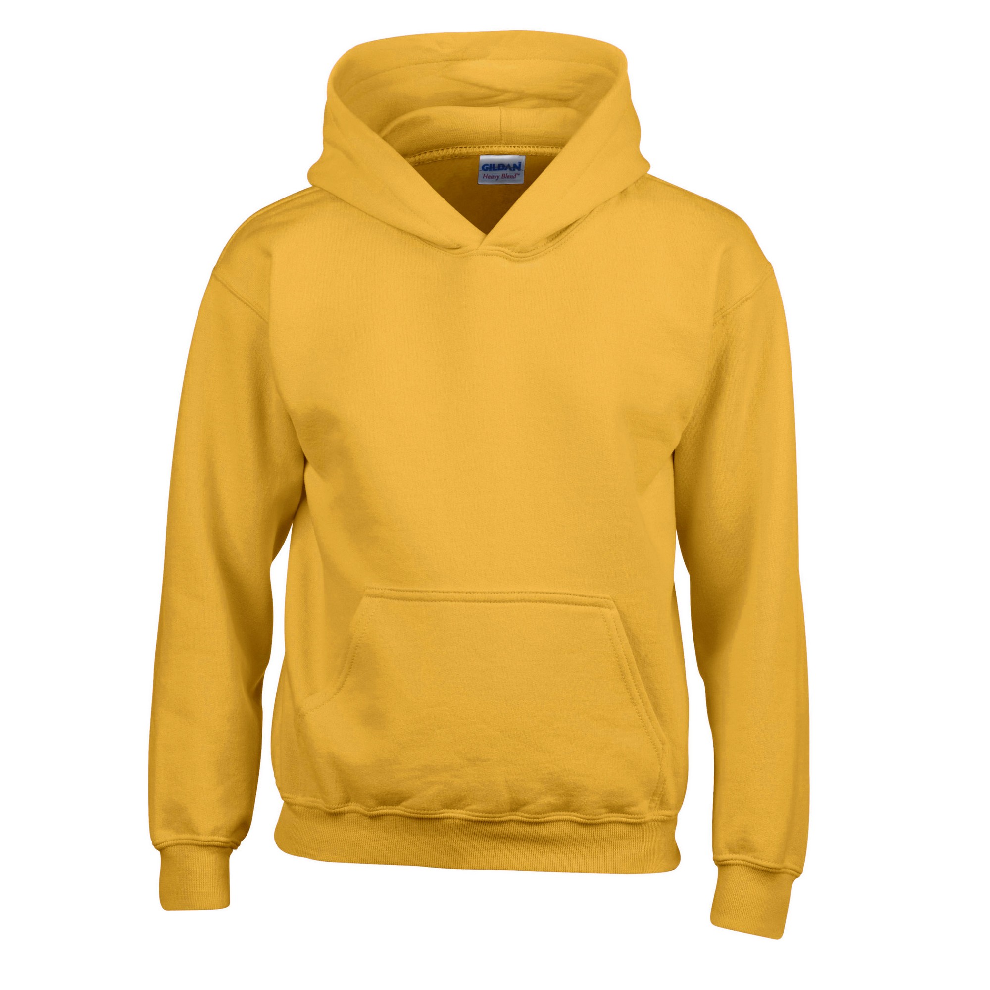 Gildan Childrens/Kids Heavy Blend Hooded Sweatshirt (PC6242) - Picture 16 of 51