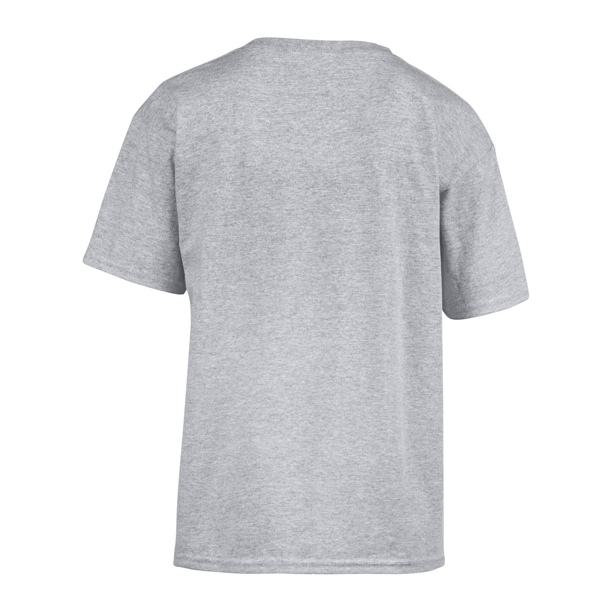 Gildan Childrens/Kids Softstyle T-Shirt (PC6763) - Picture 19 of 20