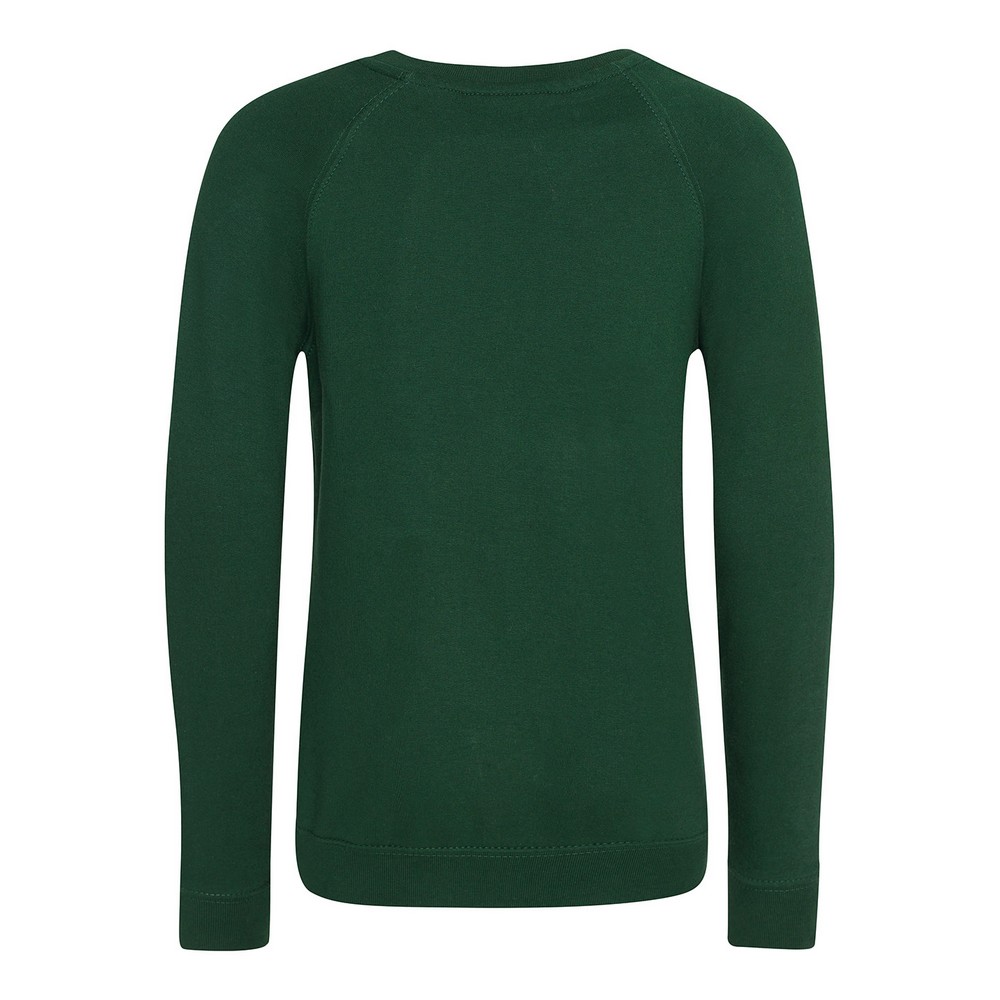 Awdis Childrens/Kids Academy Raglan Sweatshirt (PC7093) - Picture 12 of 23