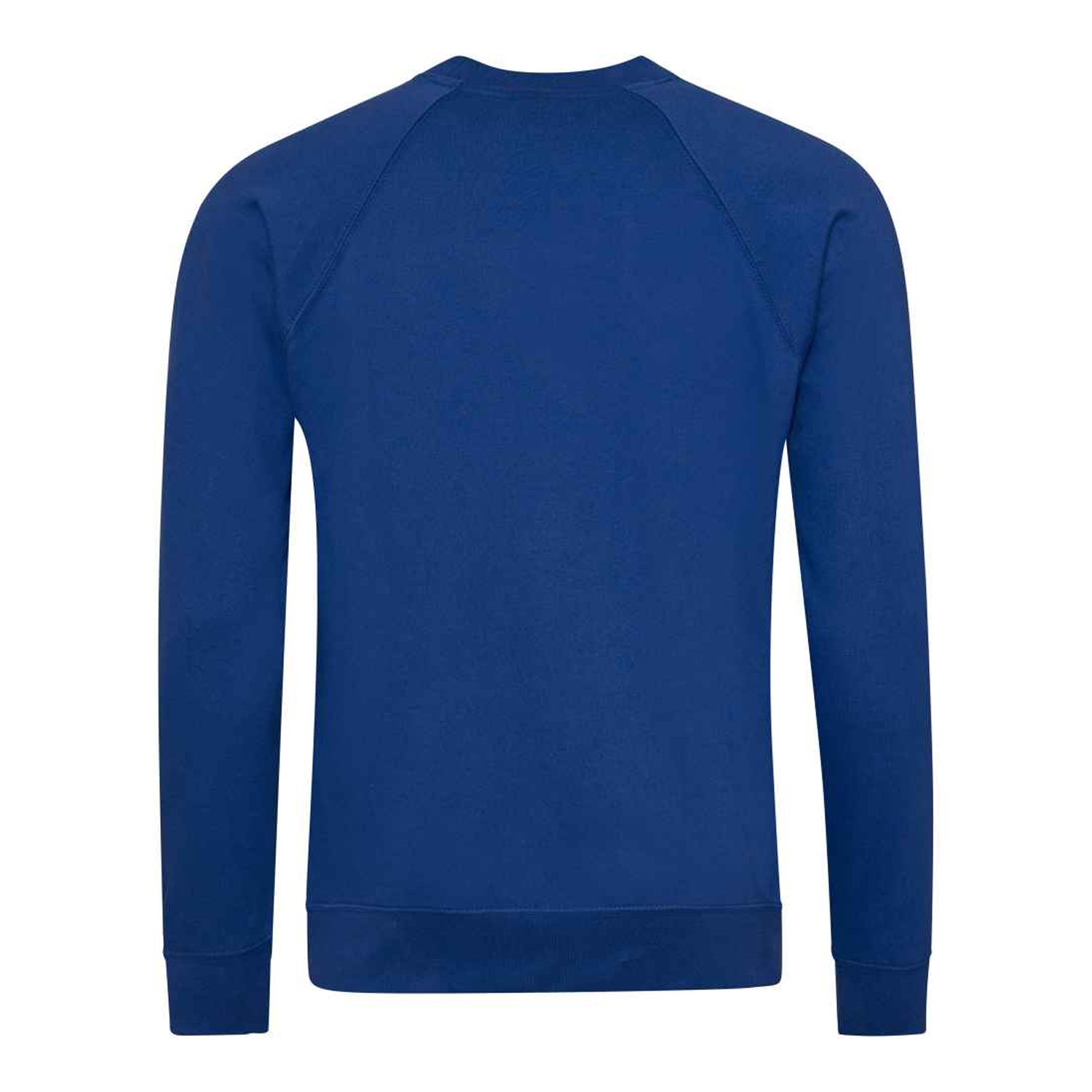 Awdis Childrens/Kids Academy Raglan Sweatshirt (PC7093) - Picture 8 of 23
