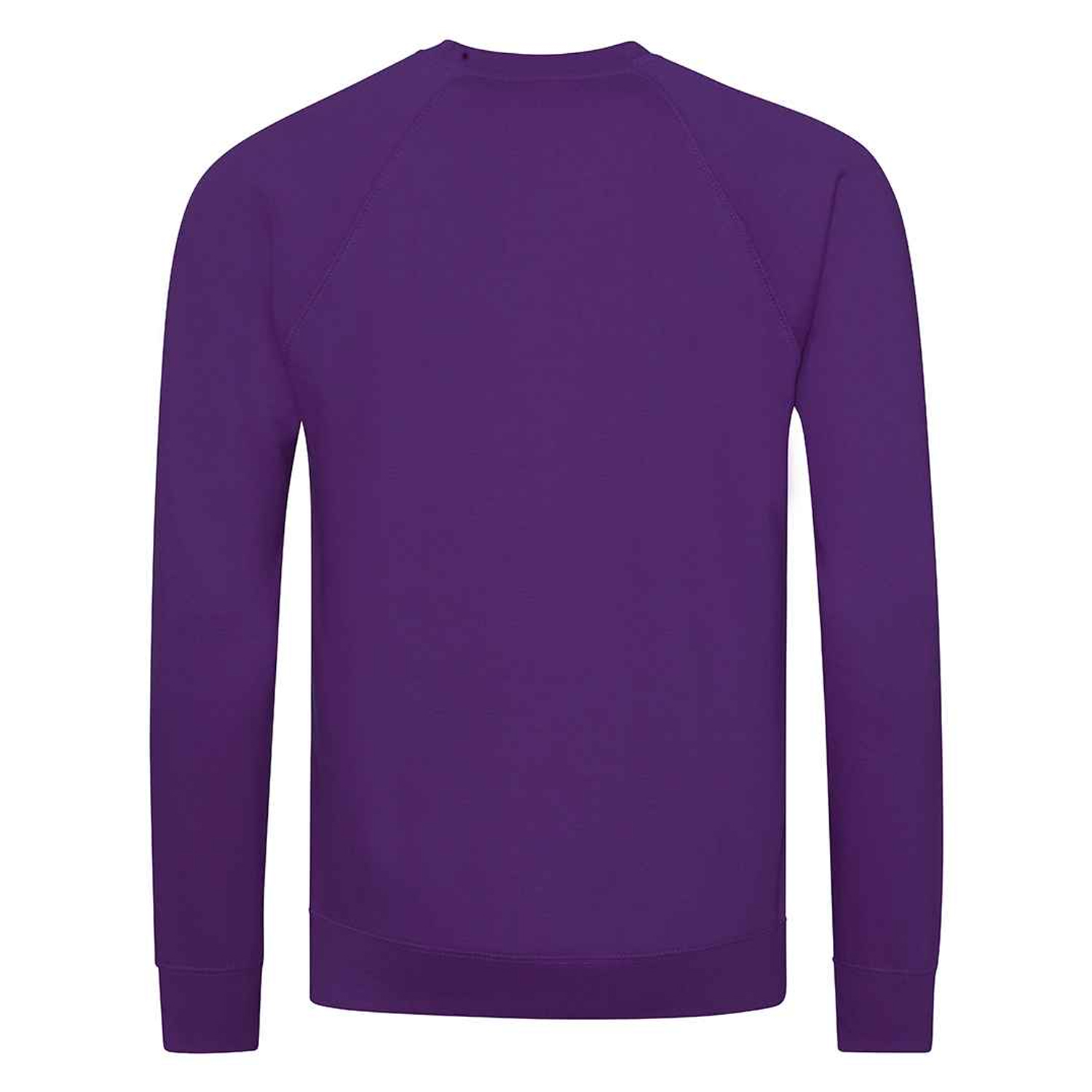 Awdis Childrens/Kids Academy Raglan Sweatshirt (PC7093) - Picture 17 of 23