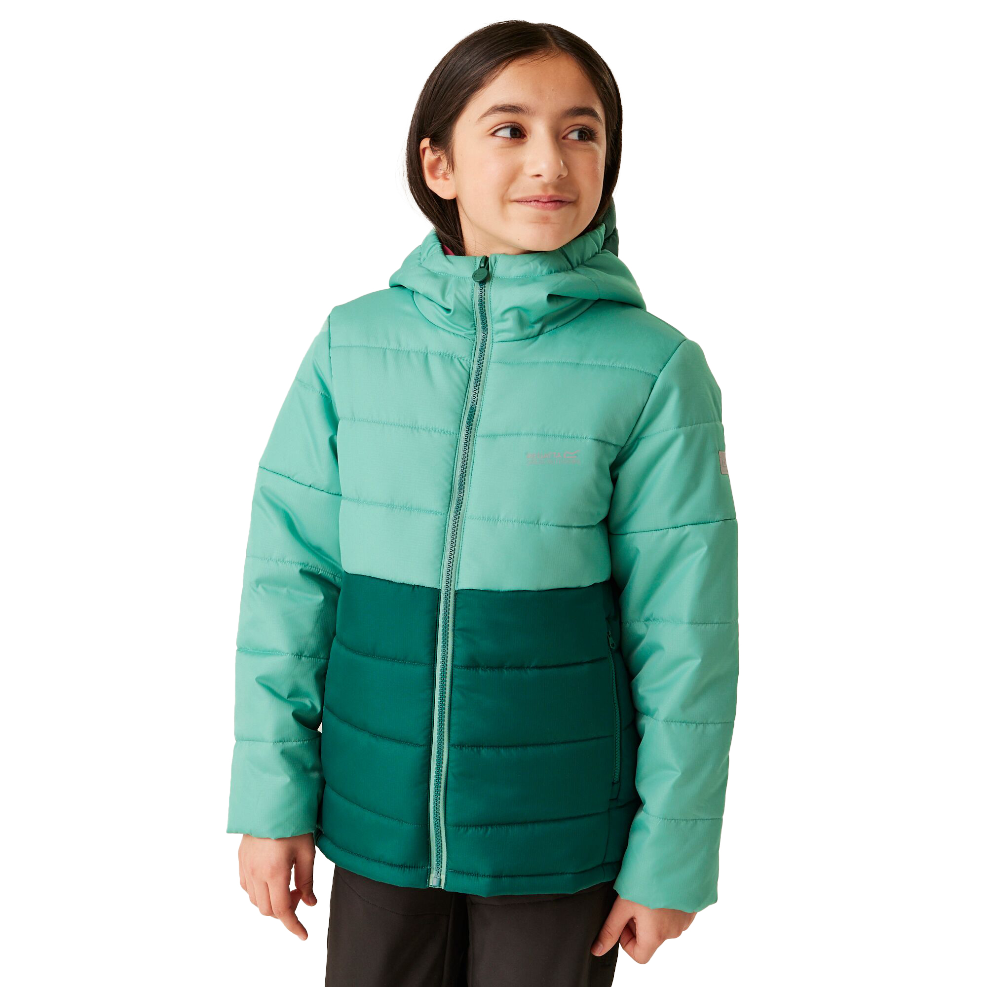 Regatta Childrens/Kids Lofthouse VIII Insulated Jacket (RG11028) - Picture 20 of 37