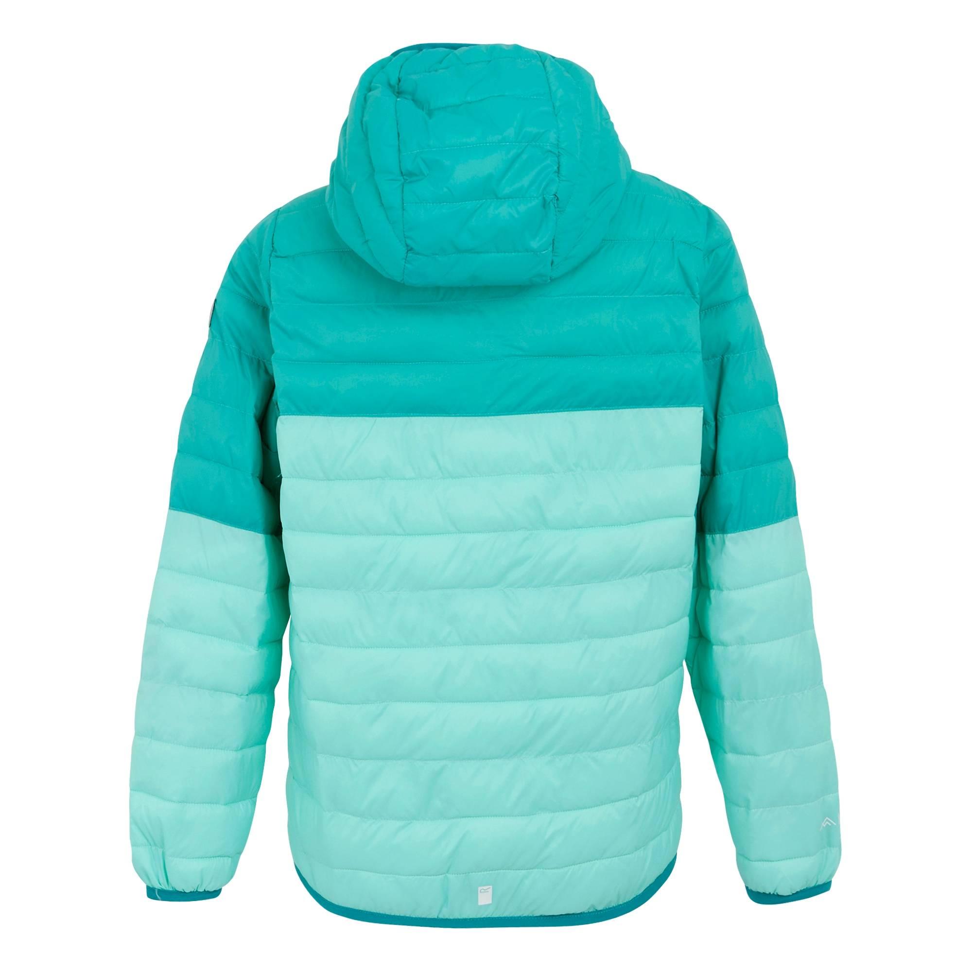 Regatta Childrens/Kids Hillpack III Hooded Jacket (RG11885) - Picture 11 of 30