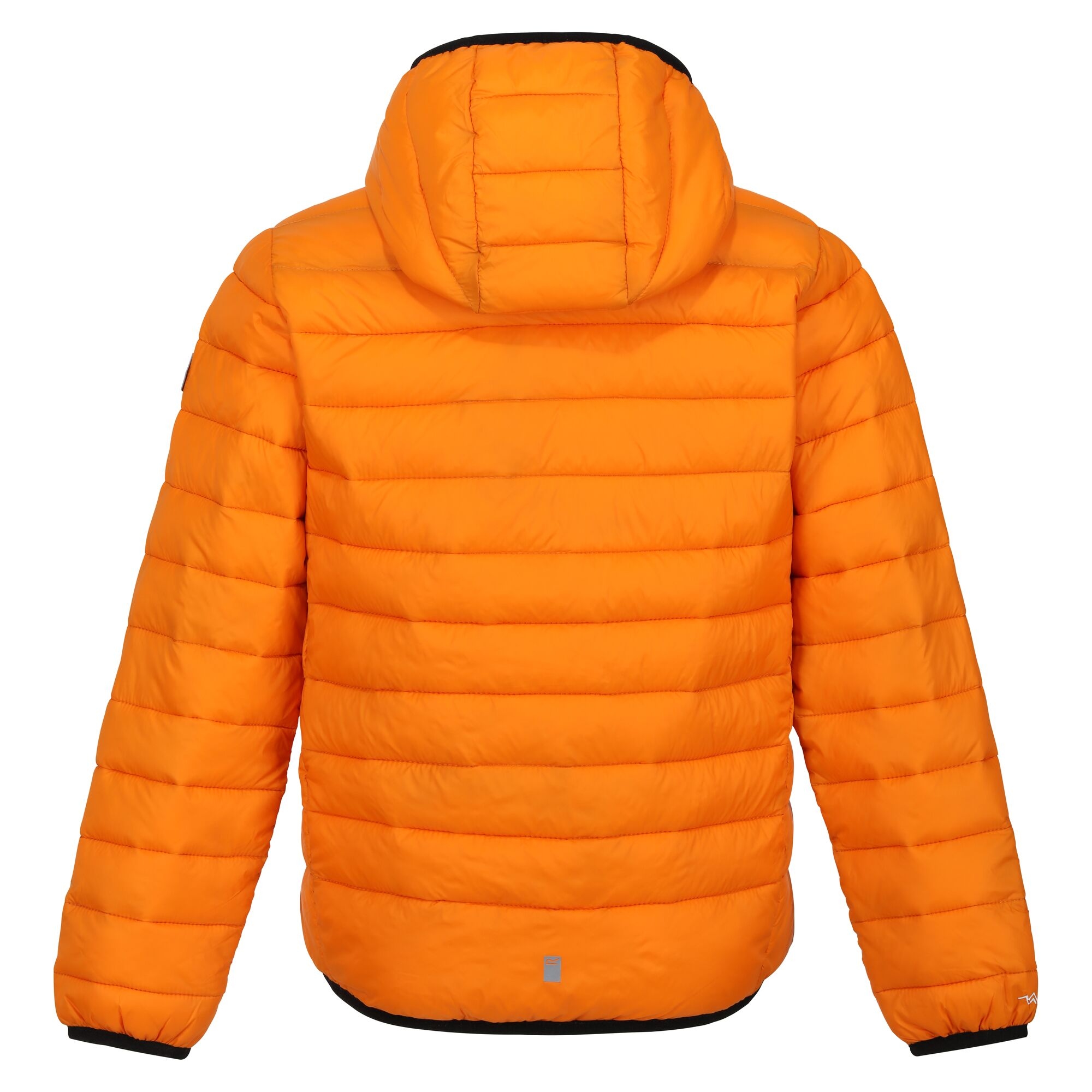 Regatta Childrens/Kids Marizion Hooded Padded Jacket (RG9018) - Picture 38 of 58