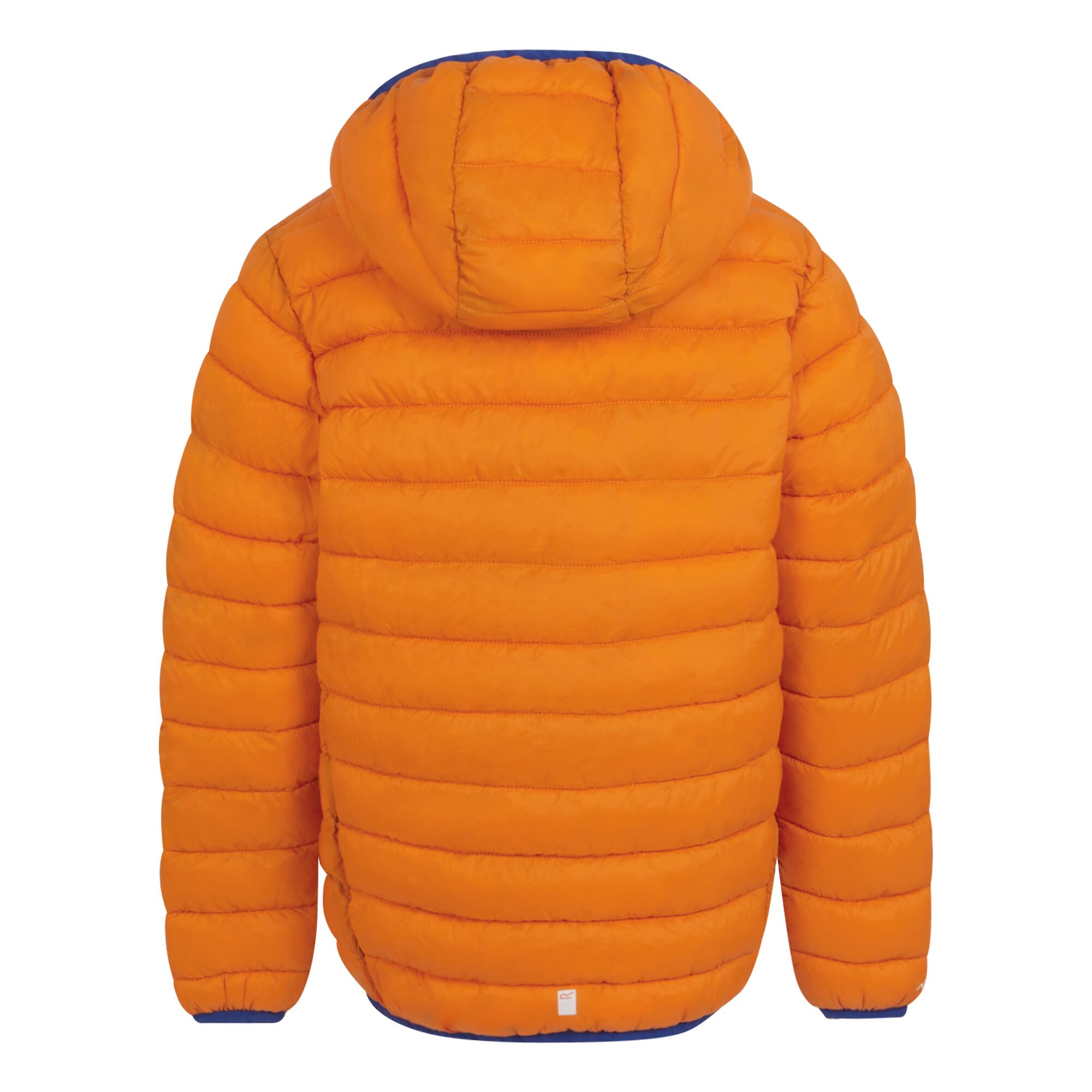 Regatta Childrens/Kids Marizion Hooded Padded Jacket (RG9018) - Picture 44 of 58
