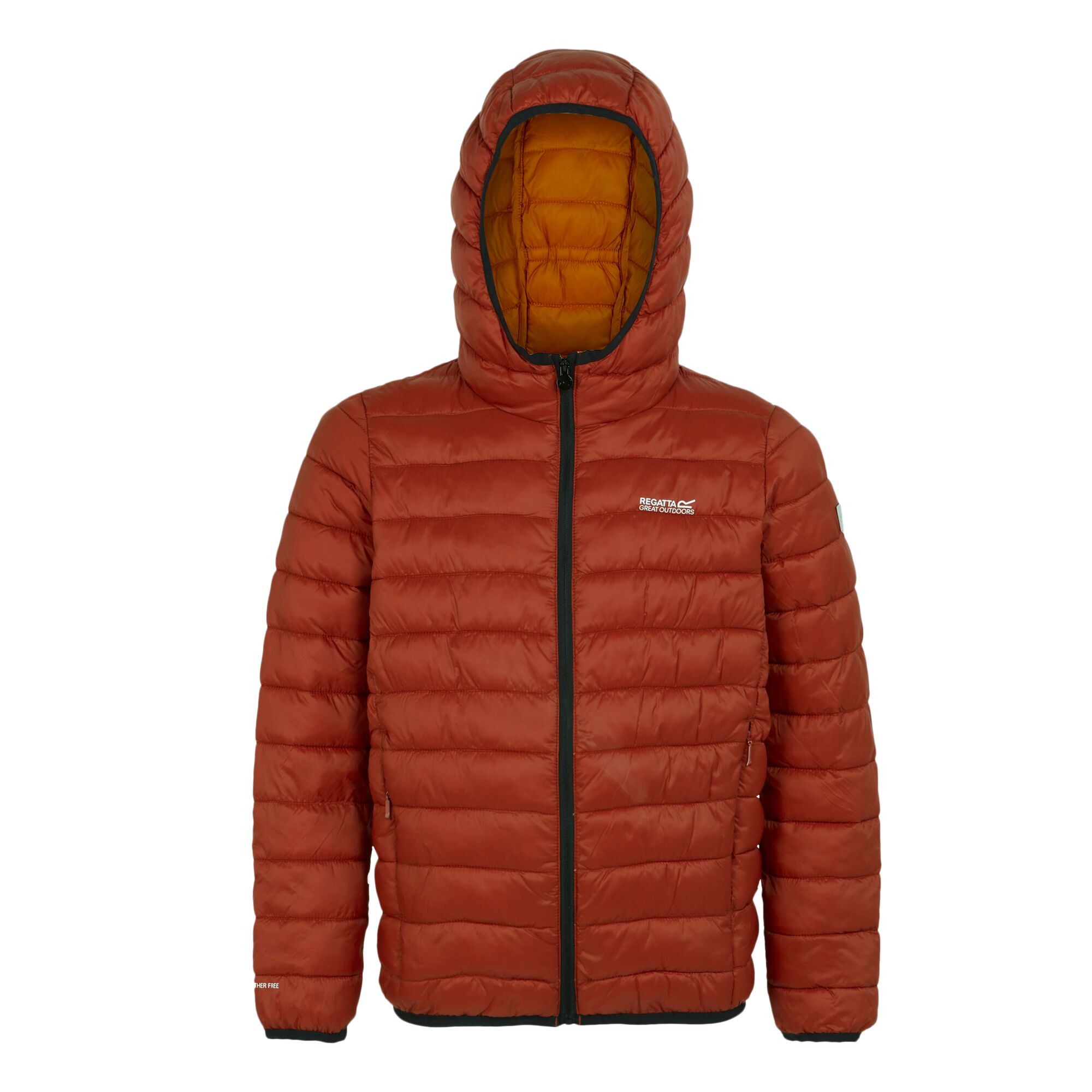 Regatta Childrens/Kids Marizion Hooded Padded Jacket (RG9018) - Picture 47 of 58