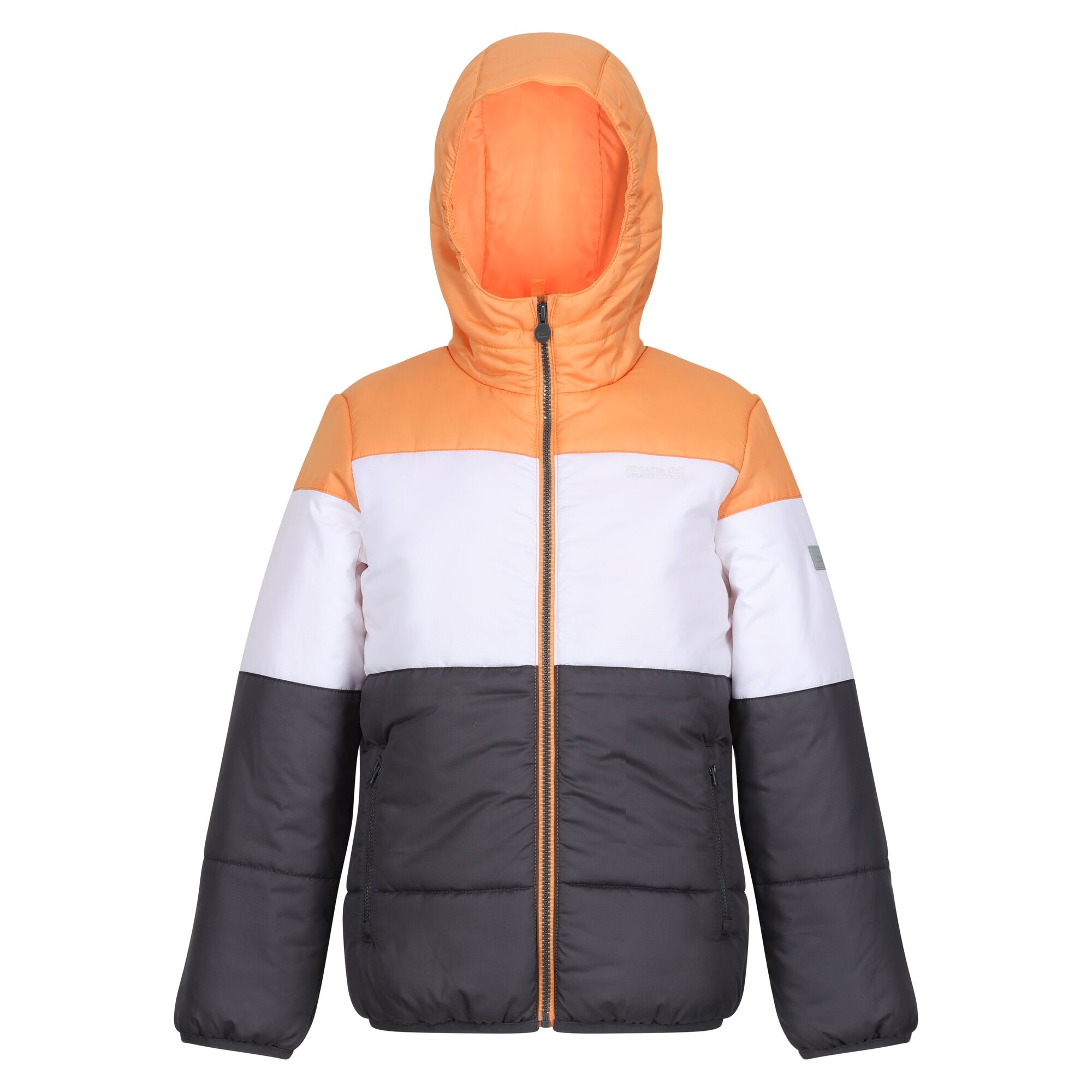 Regatta Childrens/Kids Lofthouse VII Terrain Print Padded Jacket (RG9091) - Picture 7 of 24
