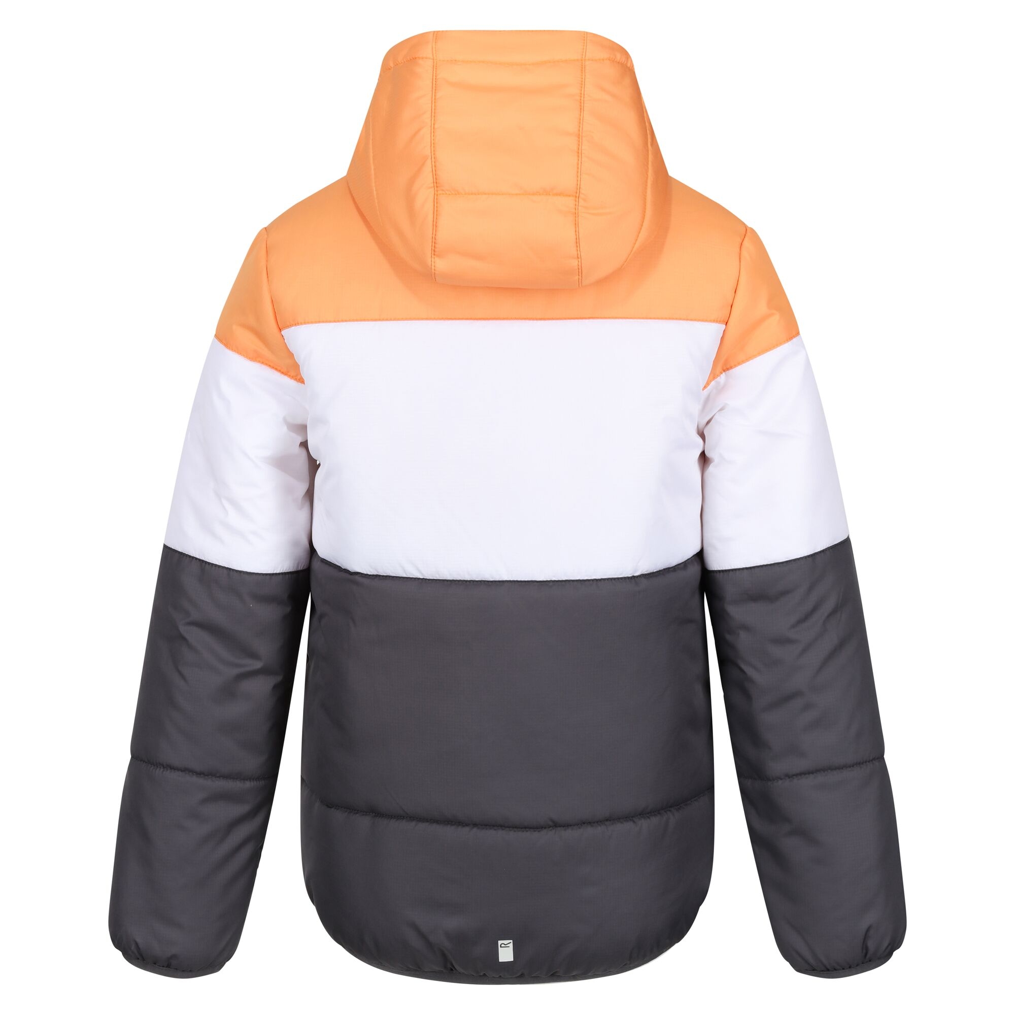 Regatta Childrens/Kids Lofthouse VII Terrain Print Padded Jacket (RG9091) - Picture 8 of 24