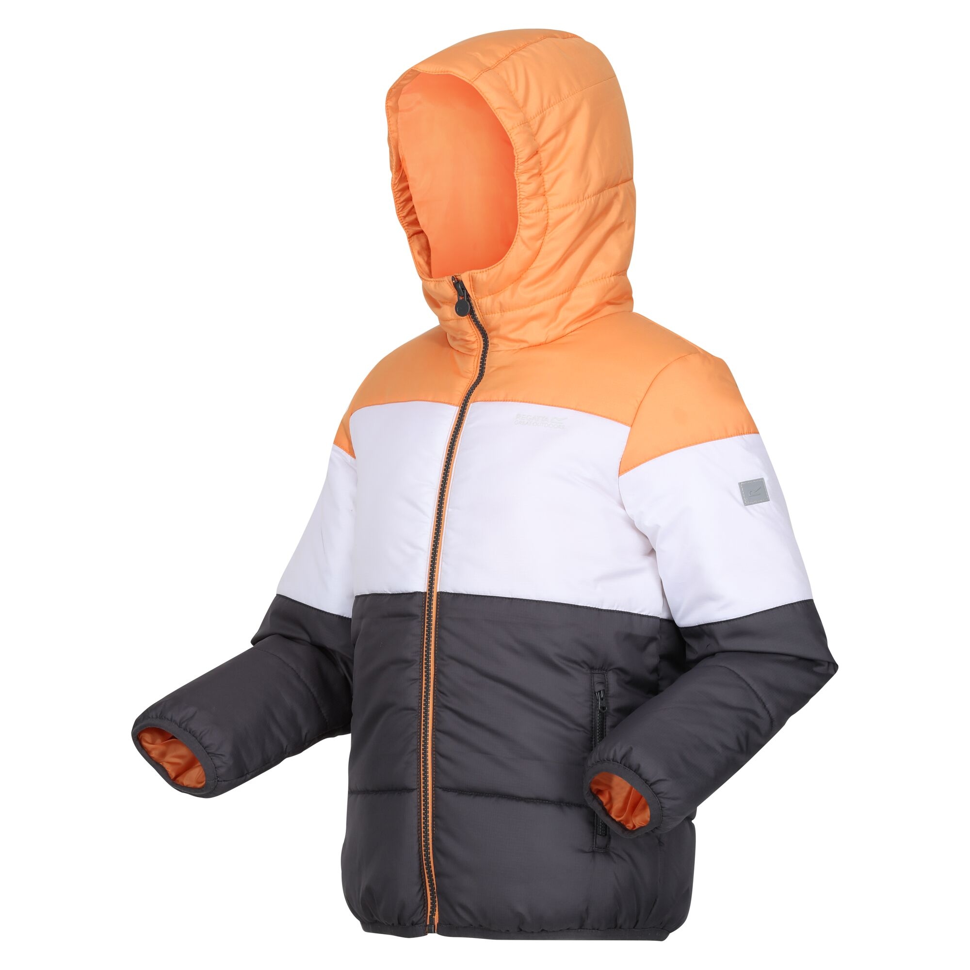 Regatta Childrens/Kids Lofthouse VII Terrain Print Padded Jacket (RG9091) - Picture 9 of 24