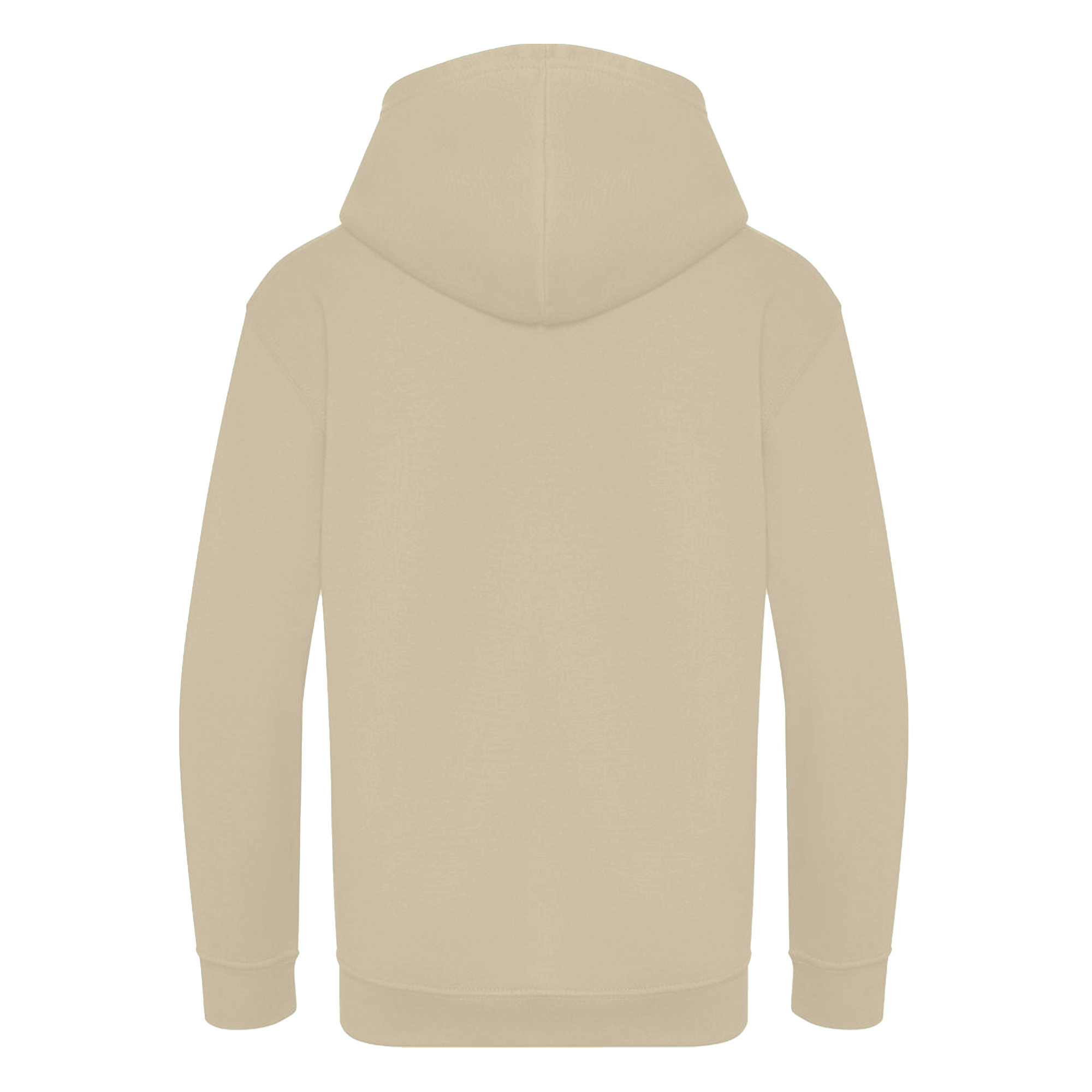 Awdis Kids Hooded Sweatshirt/Hoodie/Zoodie (RW192) - Picture 12 of 36