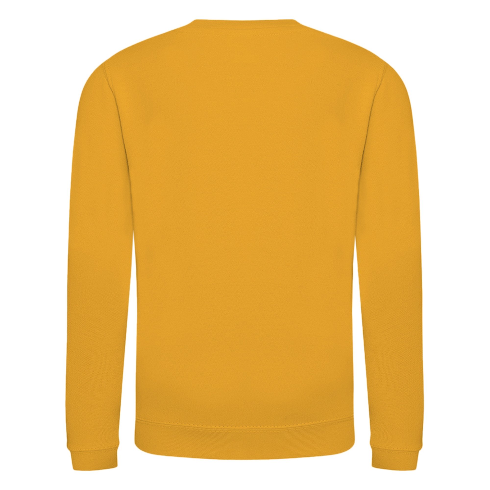AWDis Just Hoods Childrens/Kids Plain Crew Neck Sweatshirt (RW3485) - Picture 51 of 73