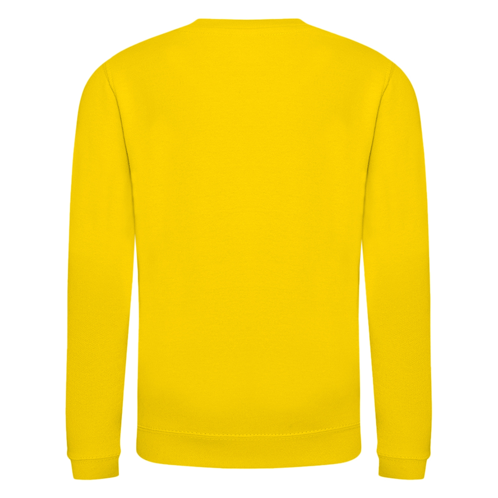 AWDis Just Hoods Childrens/Kids Plain Crew Neck Sweatshirt (RW3485) - Picture 69 of 73