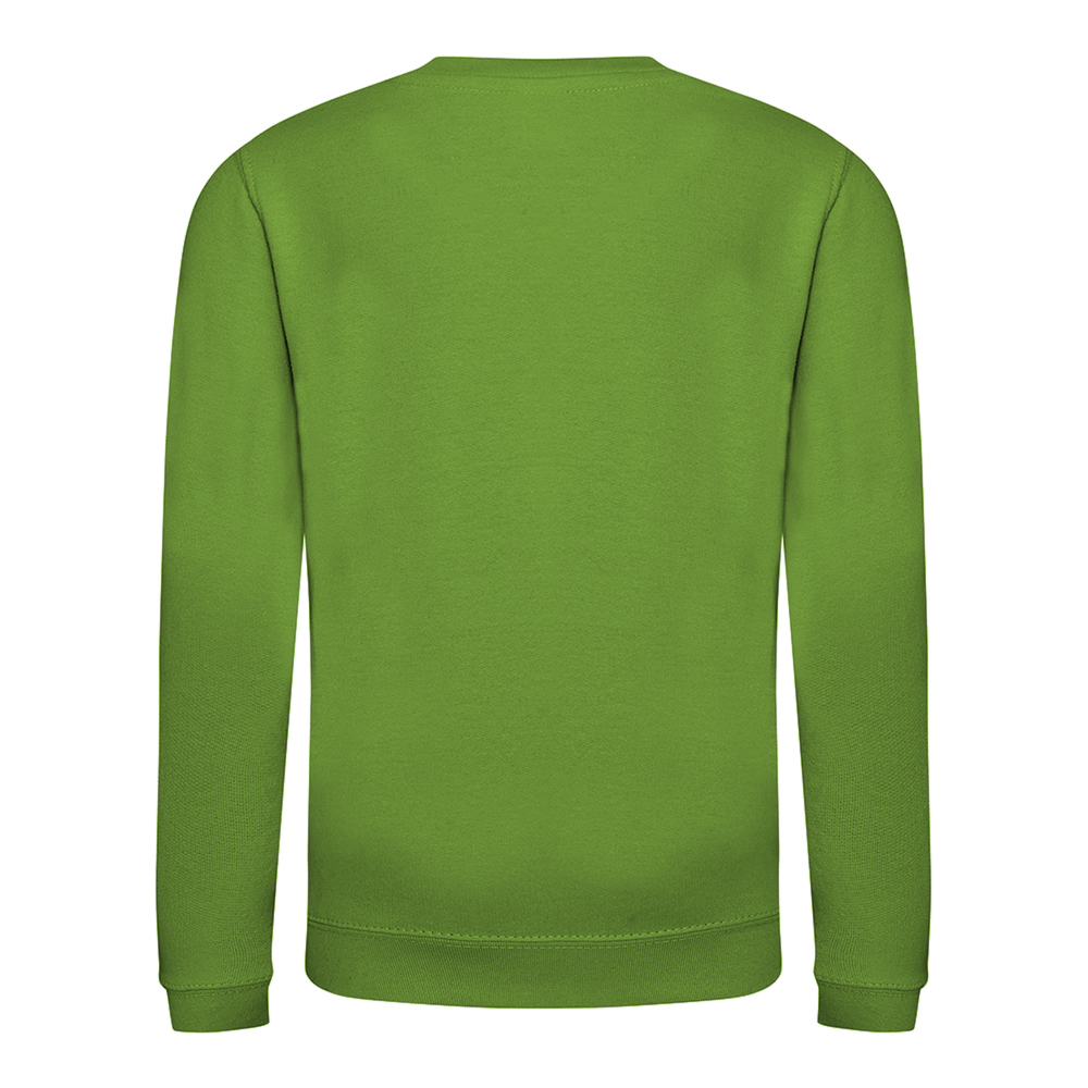 AWDis Just Hoods Childrens/Kids Plain Crew Neck Sweatshirt (RW3485) - Picture 27 of 73