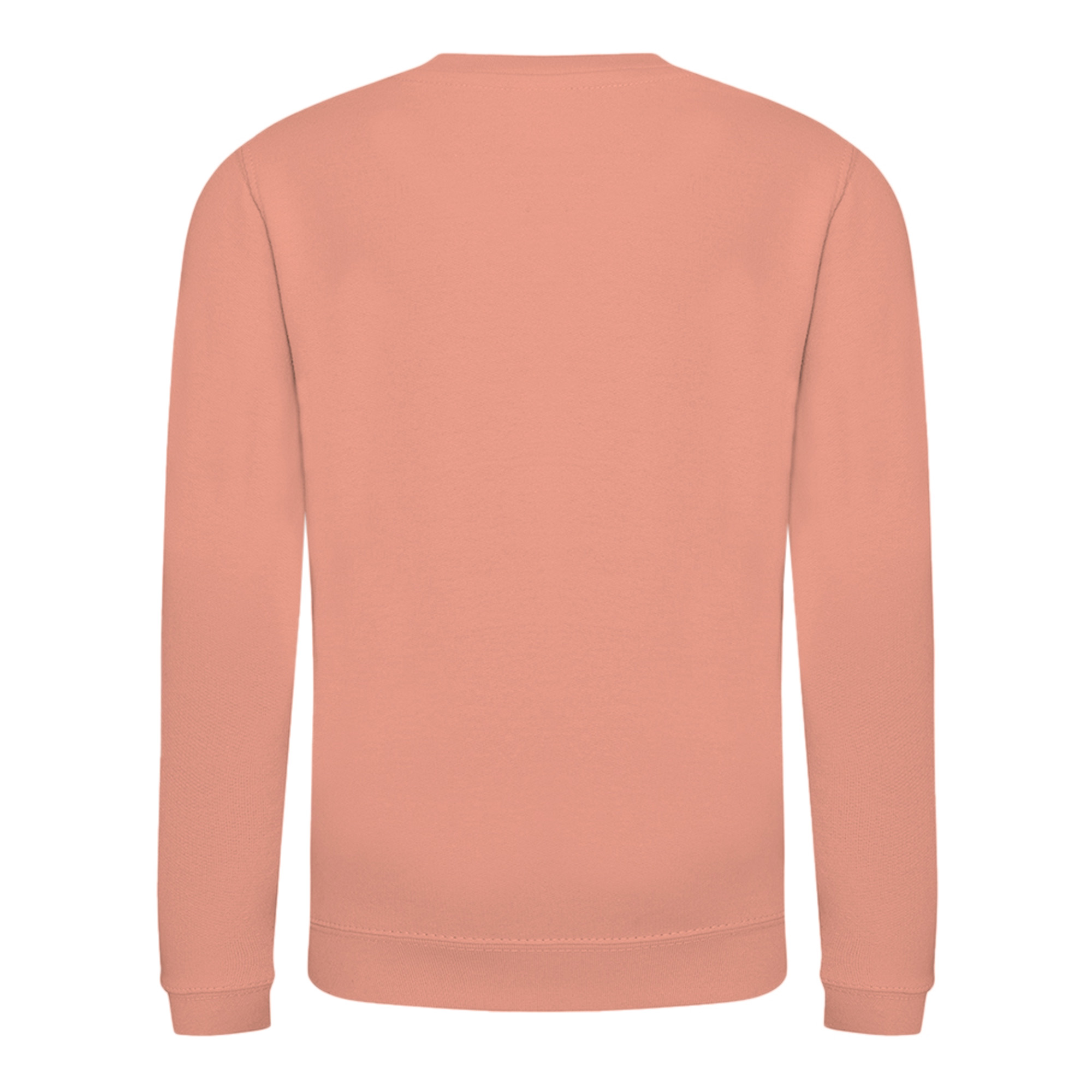 AWDis Just Hoods Childrens/Kids Plain Crew Neck Sweatshirt (RW3485) - Picture 21 of 73