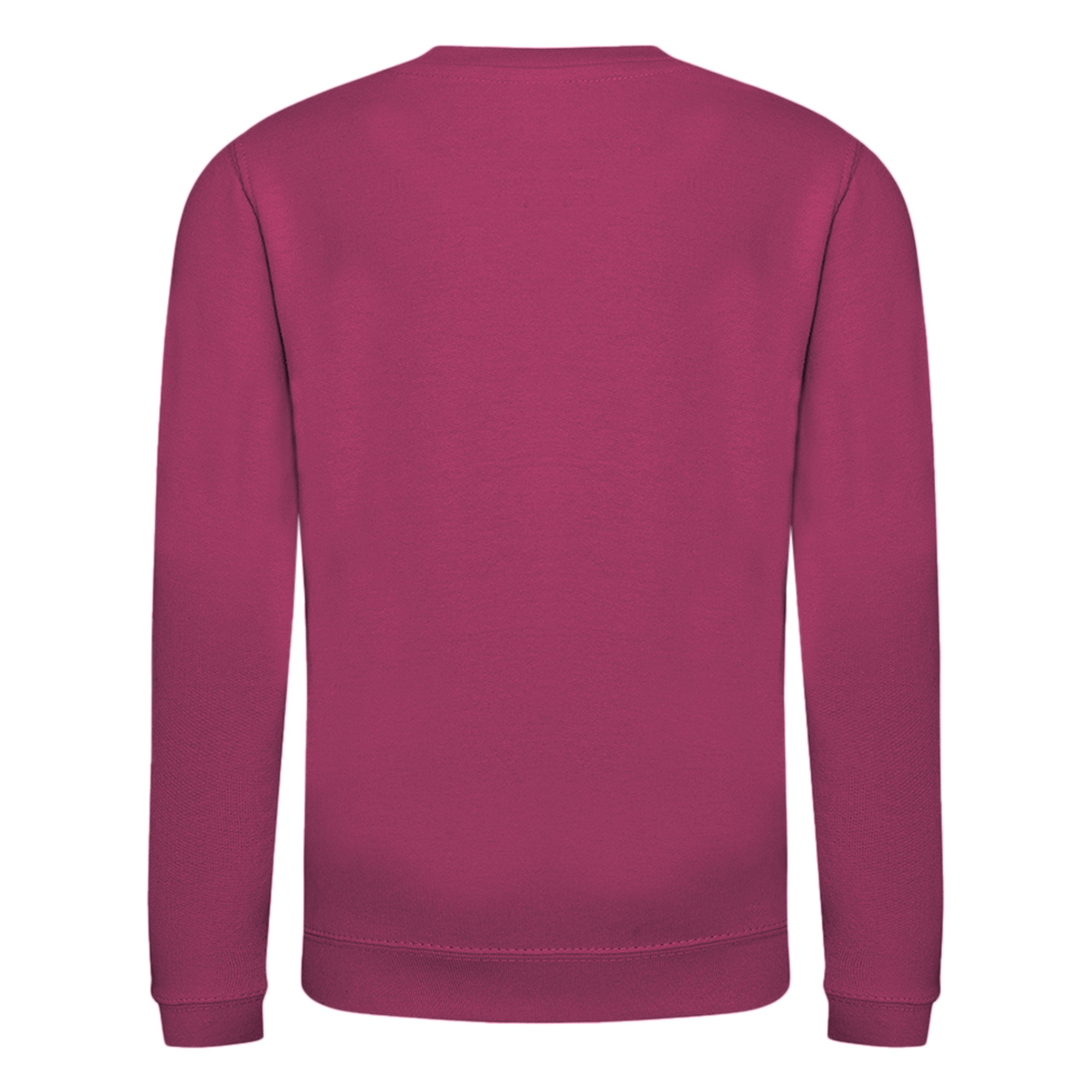 AWDis Just Hoods Childrens/Kids Plain Crew Neck Sweatshirt (RW3485) - Picture 12 of 73