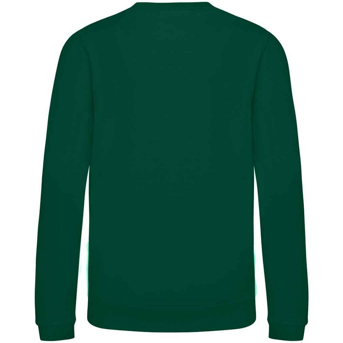 AWDis Just Hoods Childrens/Kids Plain Crew Neck Sweatshirt (RW3485) - Picture 58 of 73