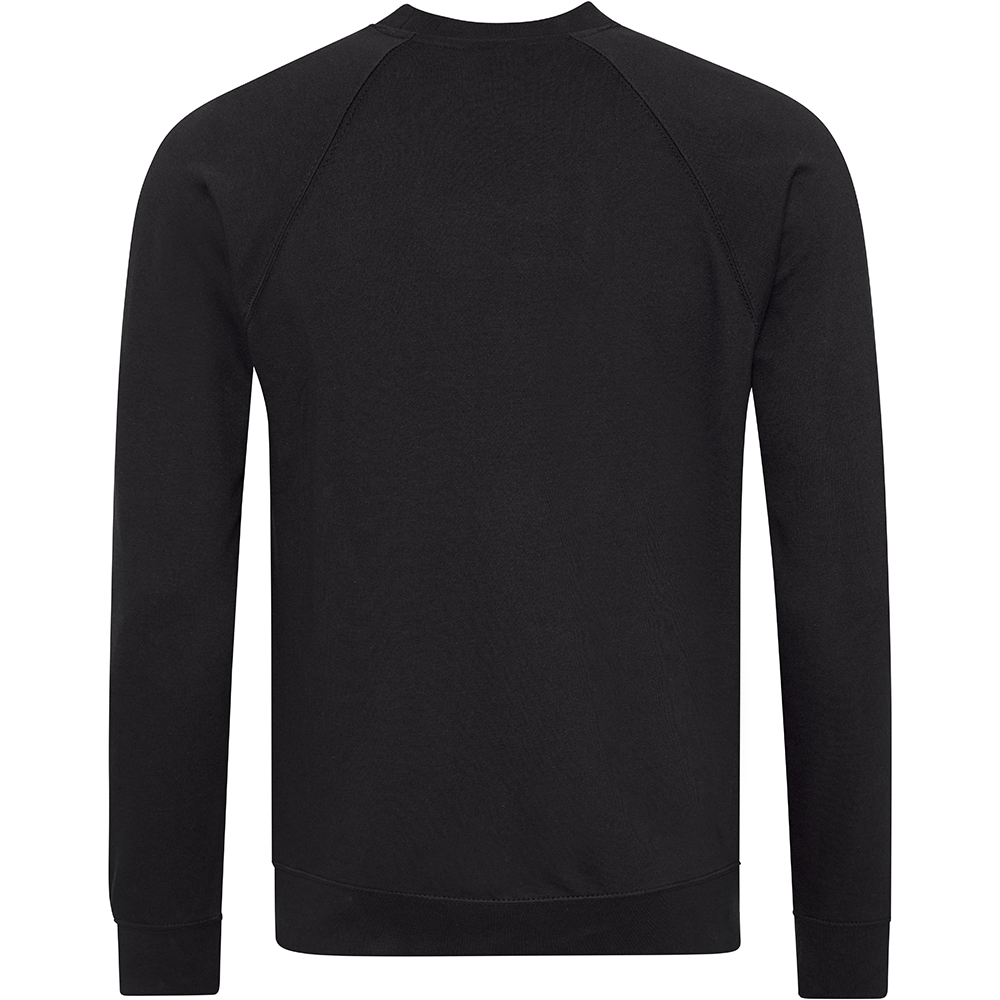 AWDis Academy Childrens/Kids Crew Neck Raglan School Sweatshirt (RW3916) - Picture 4 of 25