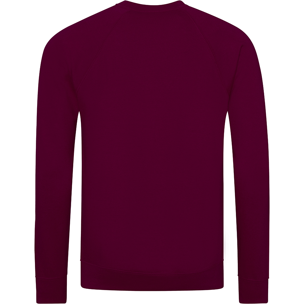 AWDis Academy Childrens/Kids Crew Neck Raglan School Sweatshirt (RW3916) - Picture 7 of 25