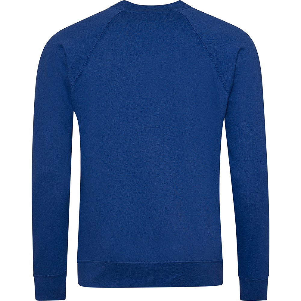 AWDis Academy Childrens/Kids Crew Neck Raglan School Sweatshirt (RW3916) - Picture 9 of 25