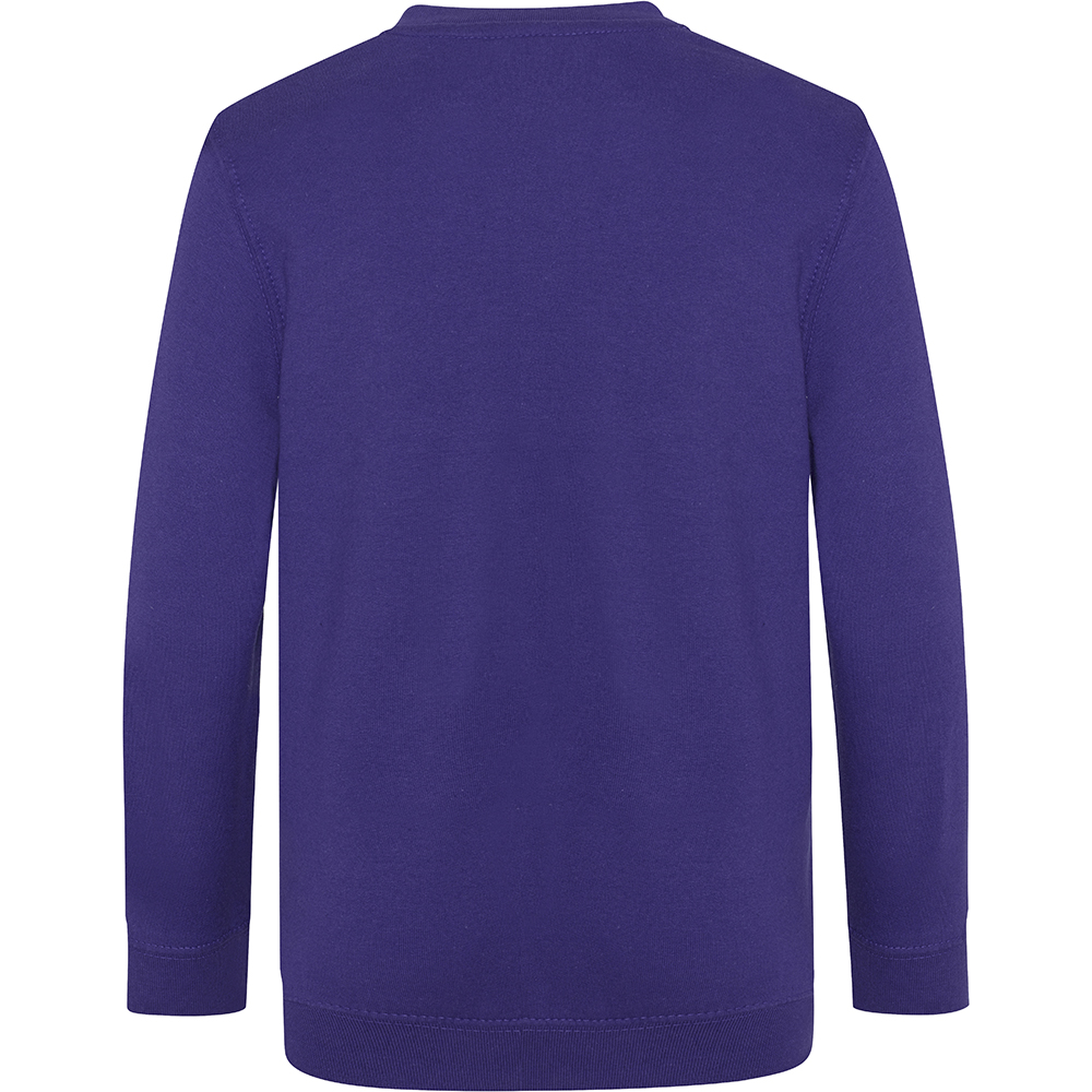 AWDis Academy Childrens/Kids Junior V Neck School Jumper/Sweatshirt (RW3925) - Picture 18 of 23