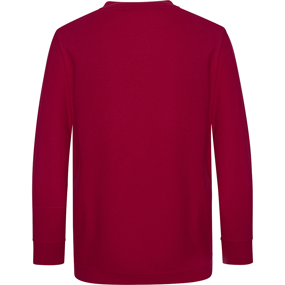 AWDis Academy Childrens/Kids Junior V Neck School Jumper/Sweatshirt (RW3925) - Picture 20 of 23