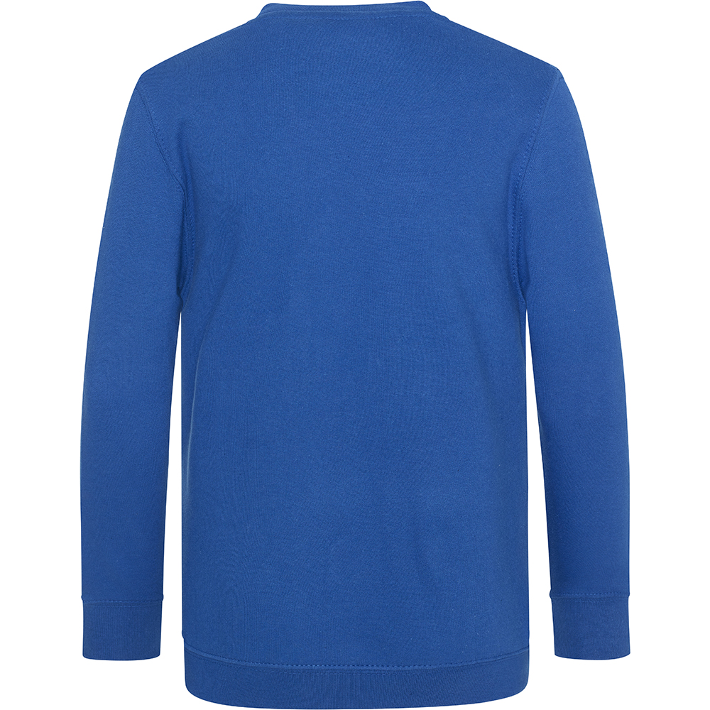 AWDis Academy Childrens/Kids Junior V Neck School Jumper/Sweatshirt (RW3925) - Picture 23 of 23