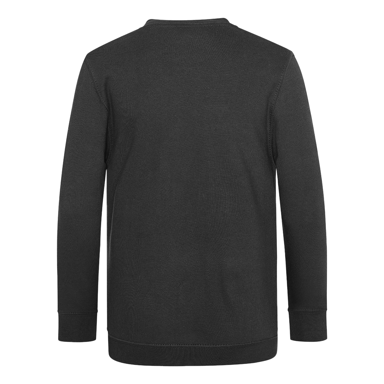 AWDis Academy Childrens/Kids Junior V Neck School Jumper/Sweatshirt (RW3925) - Picture 4 of 23