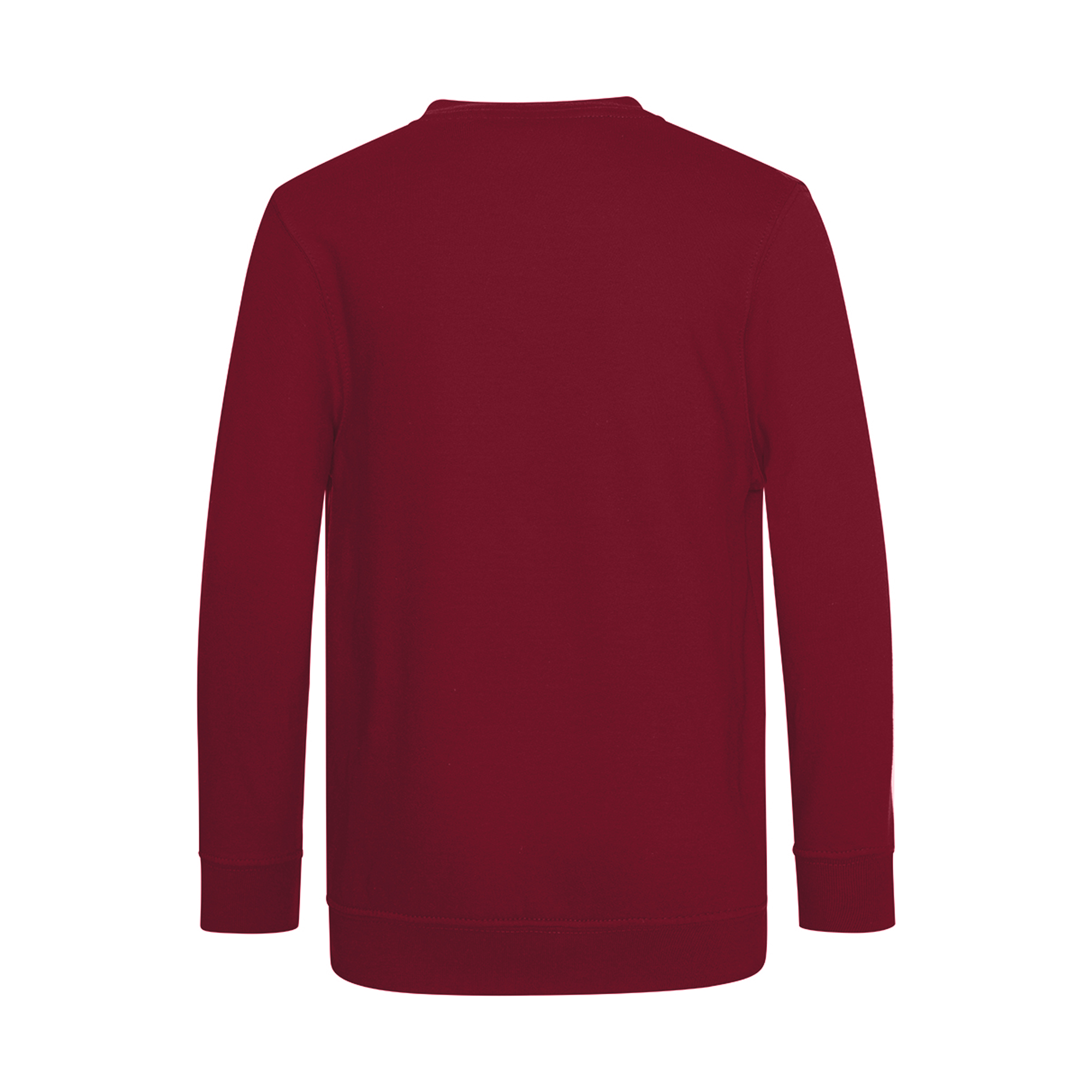 AWDis Academy Childrens/Kids Junior V Neck School Jumper/Sweatshirt (RW3925) - Picture 6 of 23