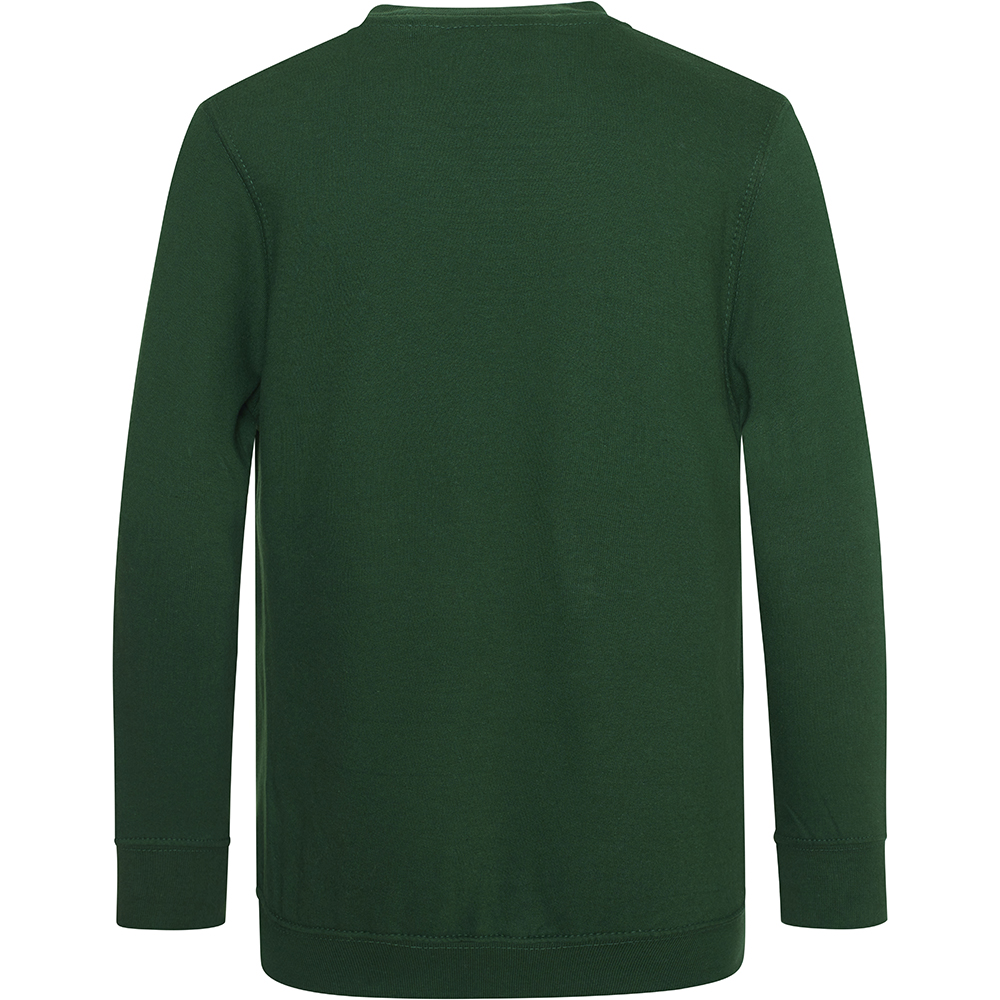 AWDis Academy Childrens/Kids Junior V Neck School Jumper/Sweatshirt (RW3925) - Picture 12 of 23