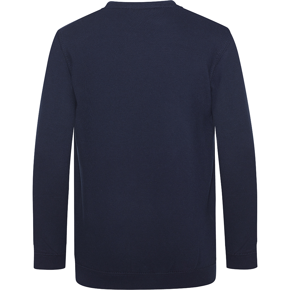 AWDis Academy Childrens/Kids Junior V Neck School Jumper/Sweatshirt (RW3925) - Picture 15 of 23