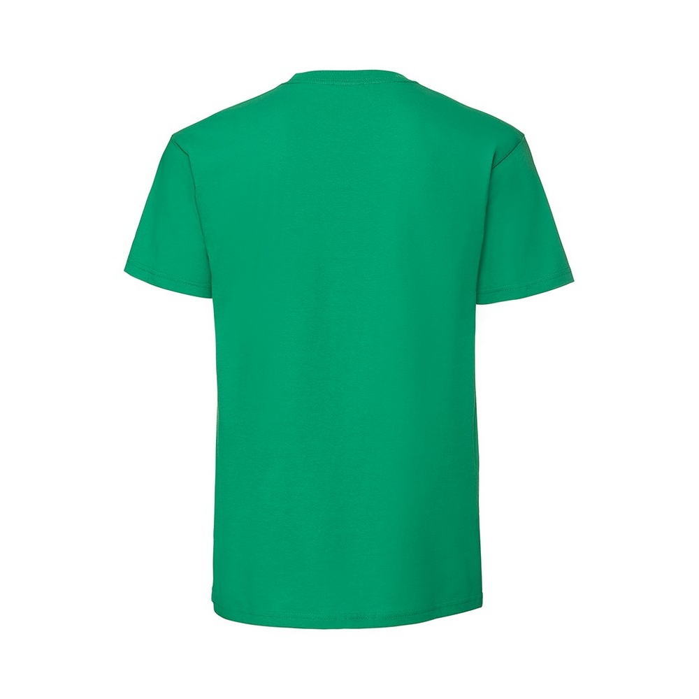 Fruit Of The Loom Mens Iconic 195 Ringspun Premium Tshirt (RW5974) - Picture 36 of 76